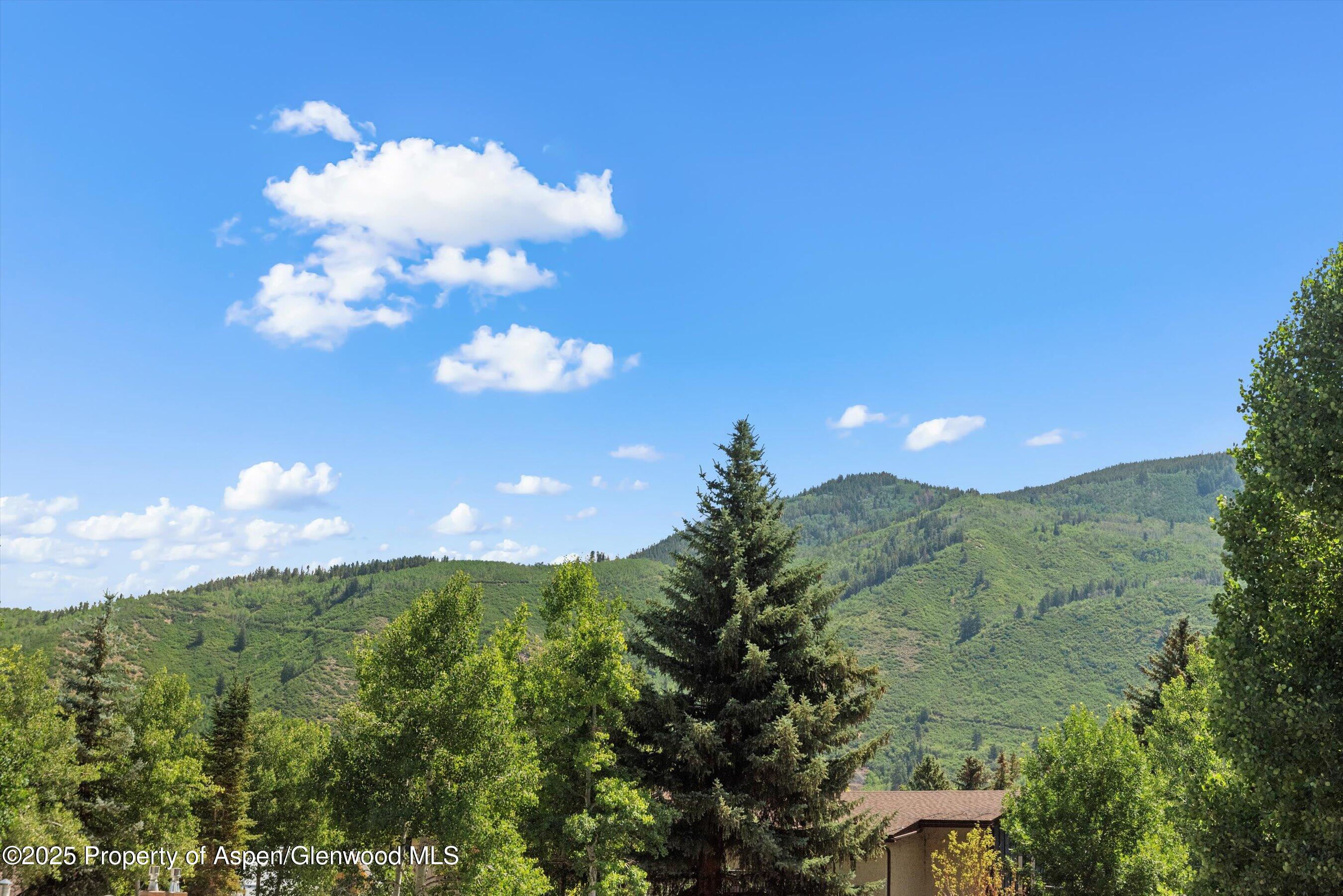 100 E Dean Street Aspen CO 81611