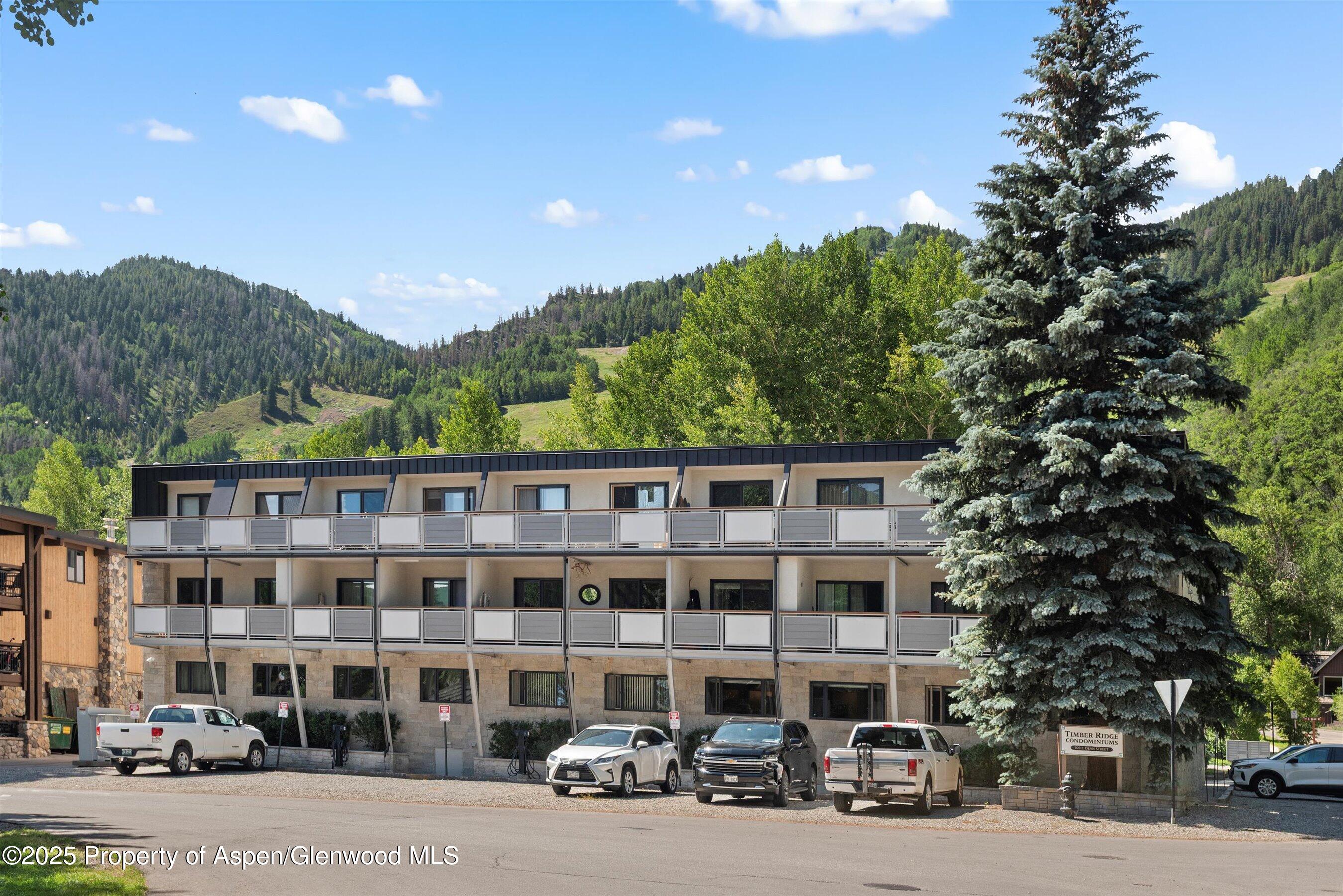100 E Dean Street Aspen CO 81611
