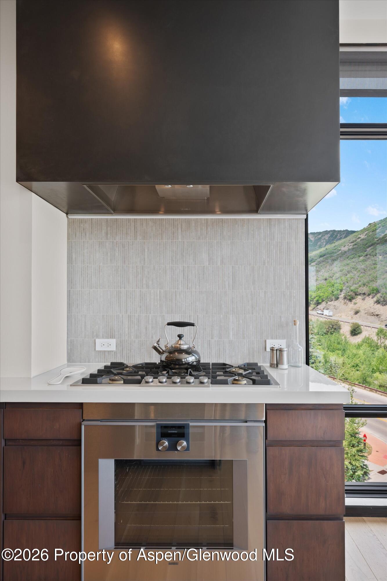 45 Wood Road Snowmass Village CO 81615