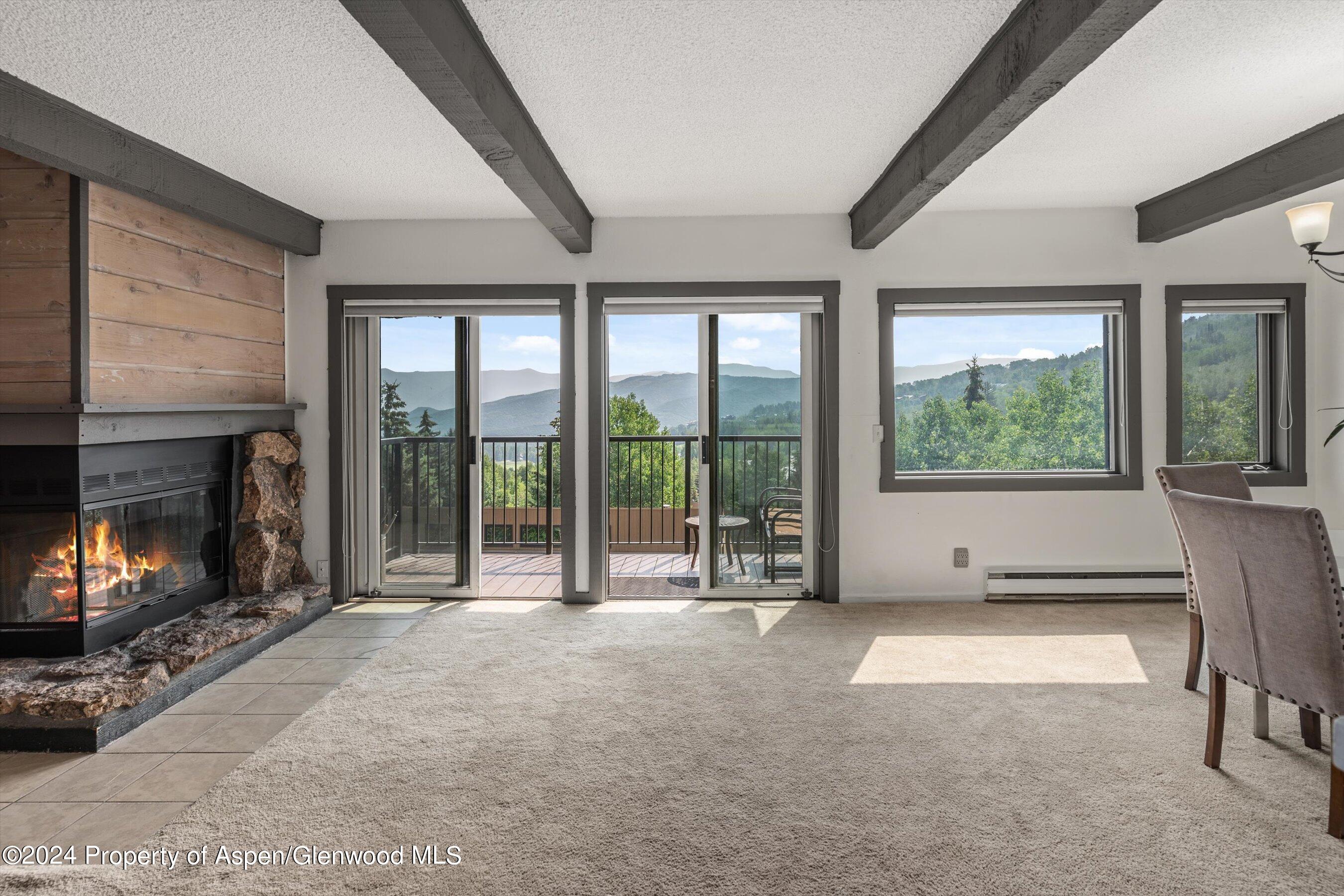 55 Upper Woodbridge Road Snowmass Village CO 81615