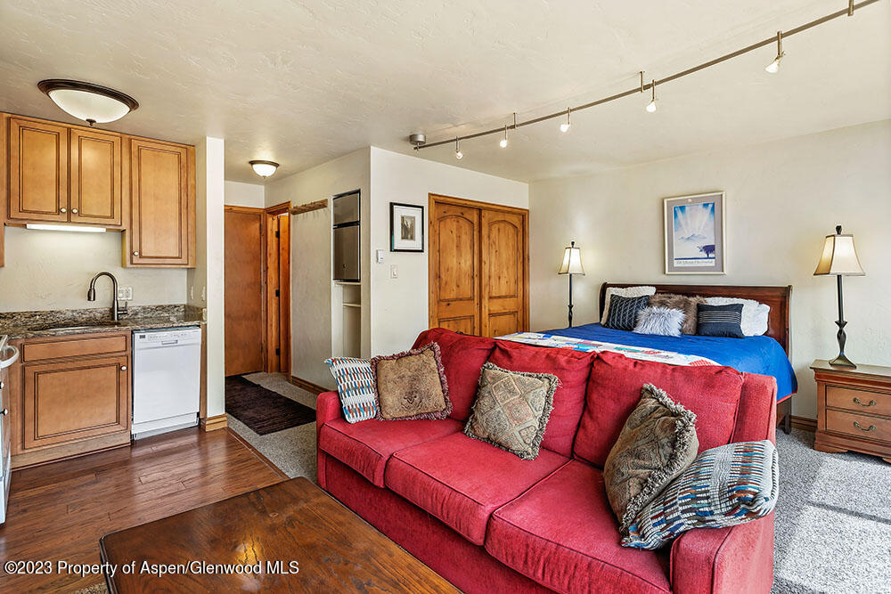 725 E Main Street Aspen CO 81611