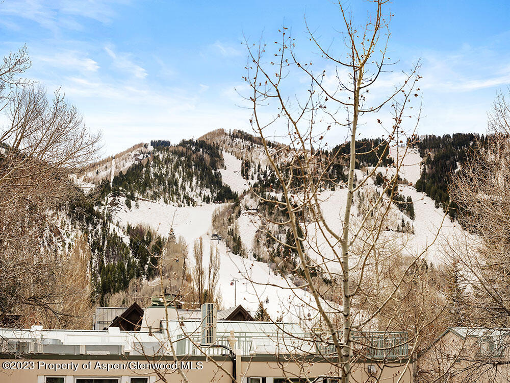 725 E Main Street Aspen CO 81611