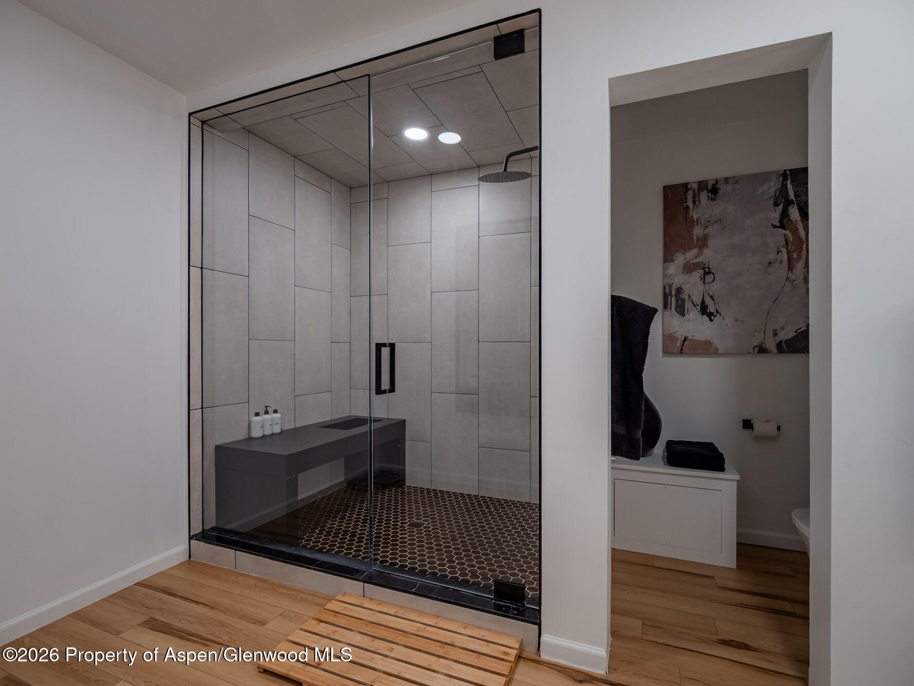 107 Aspen Mountain Road Aspen CO 81611