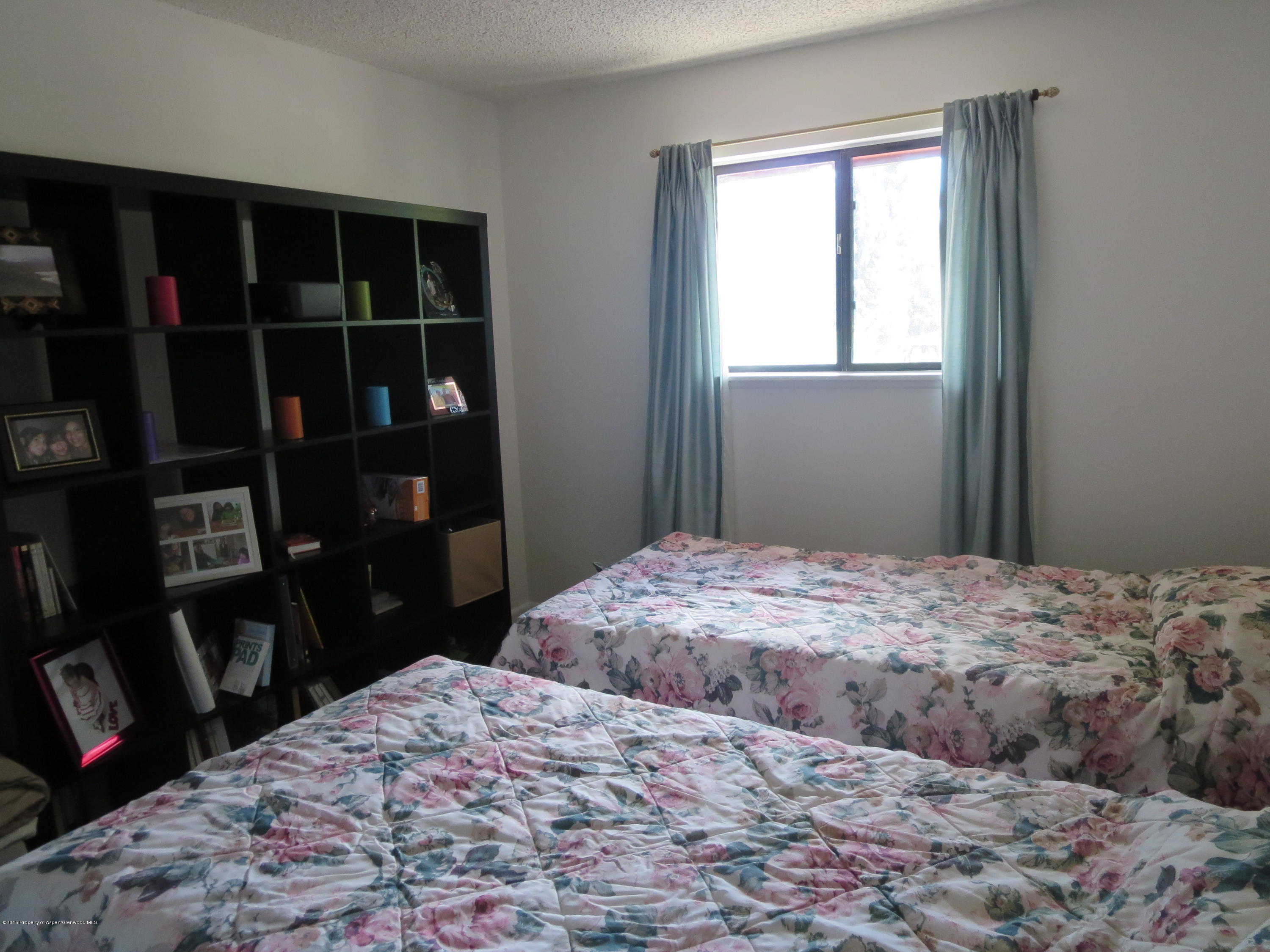 873 Colorado Avenue Carbondale CO 81623