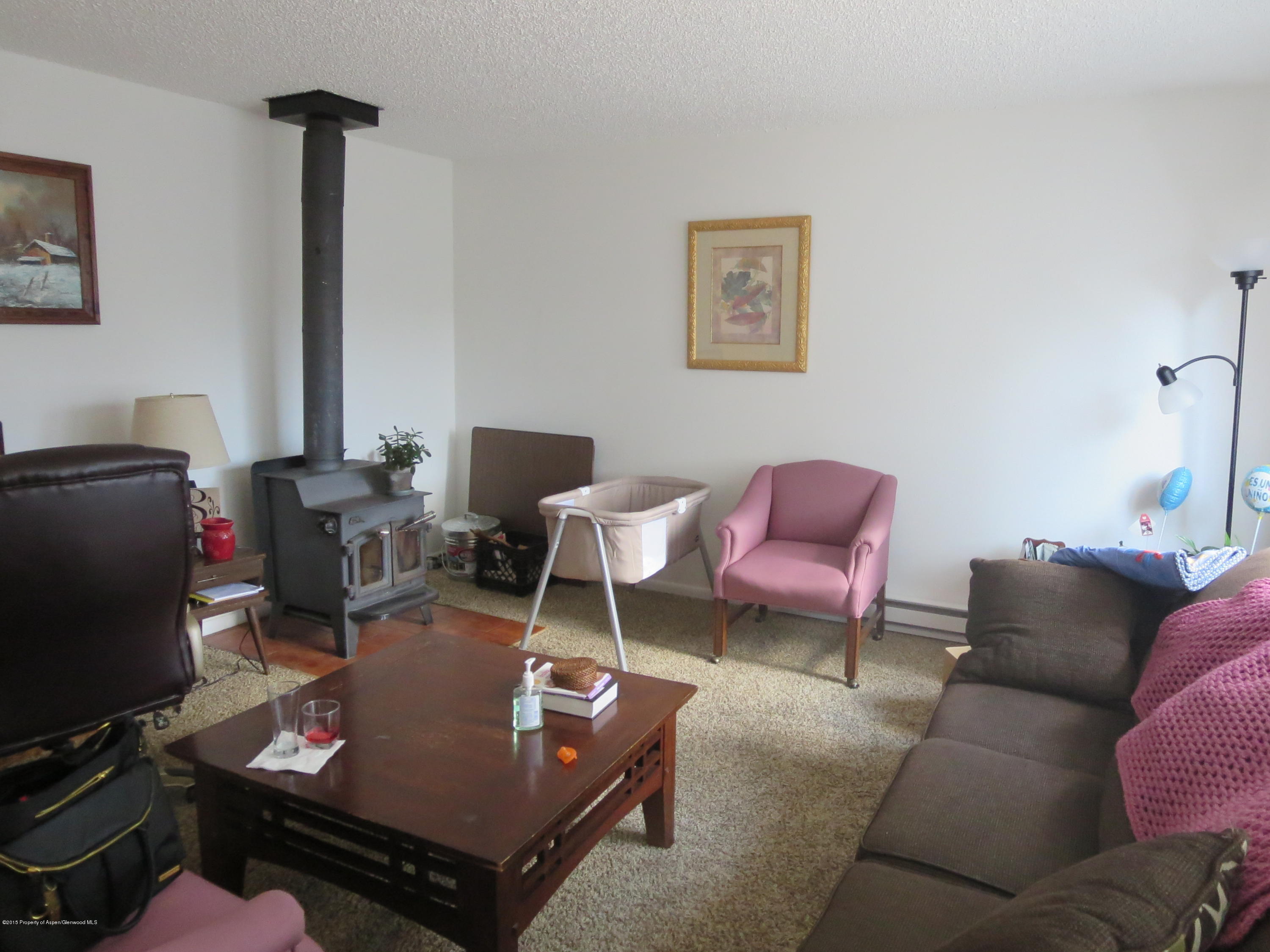 873 Colorado Avenue Carbondale CO 81623