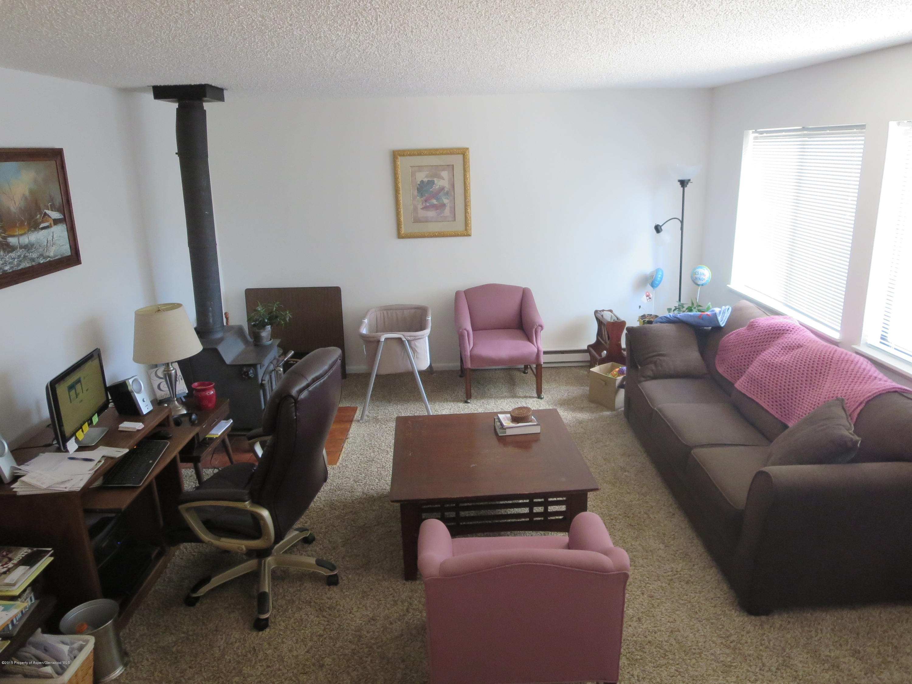 873 Colorado Avenue Carbondale CO 81623