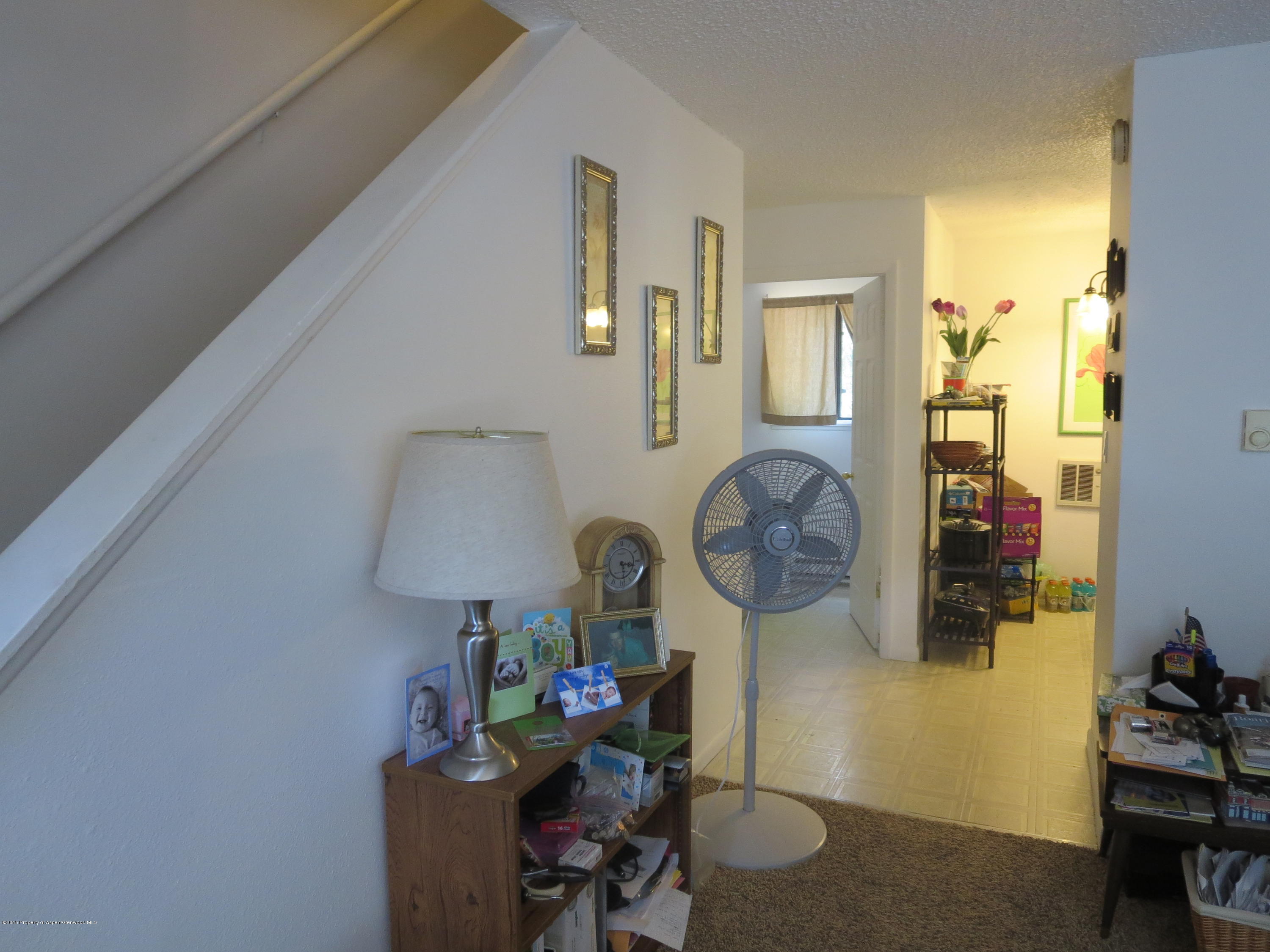 873 Colorado Avenue Carbondale CO 81623