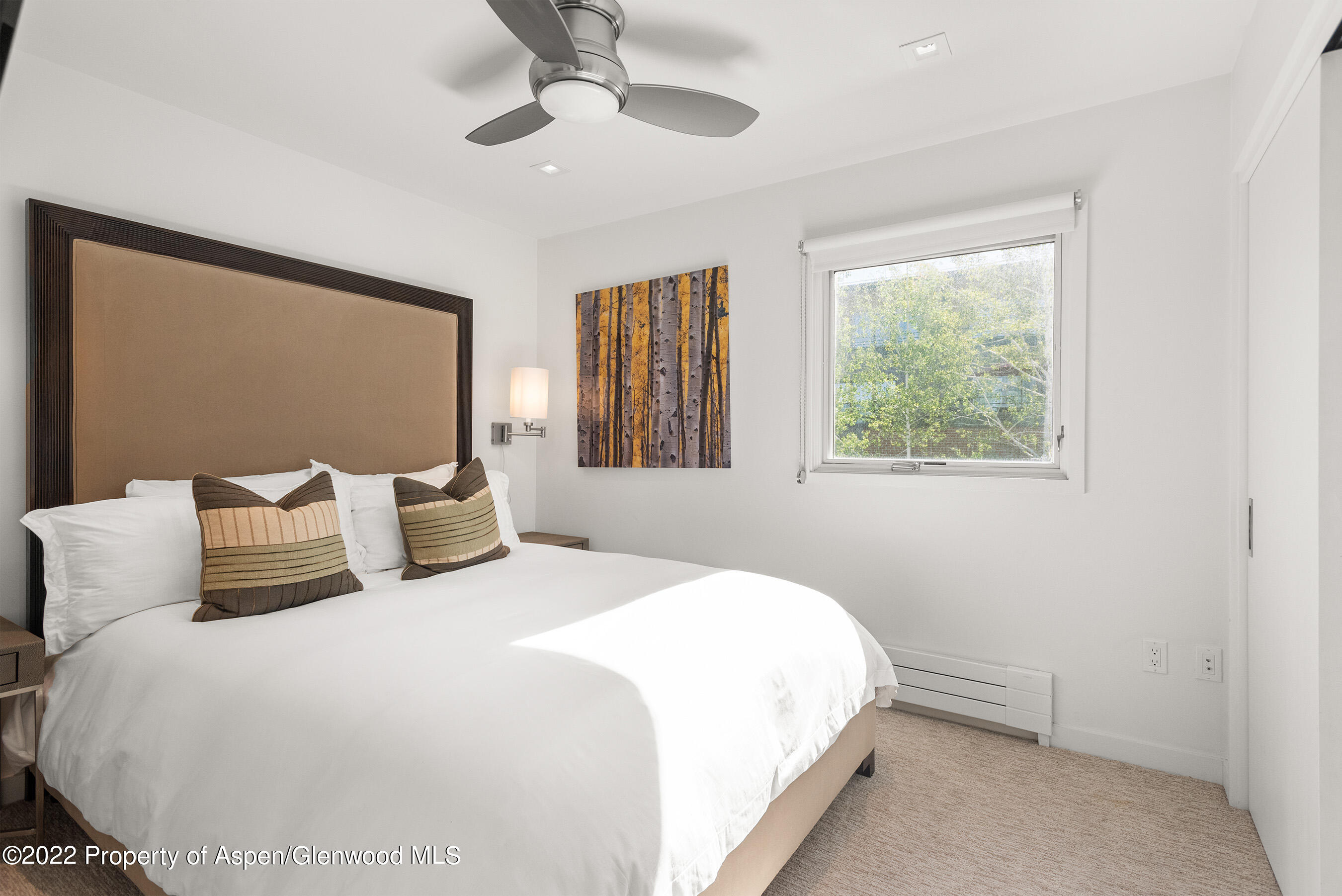 210 E Cooper Avenue Aspen CO 81611