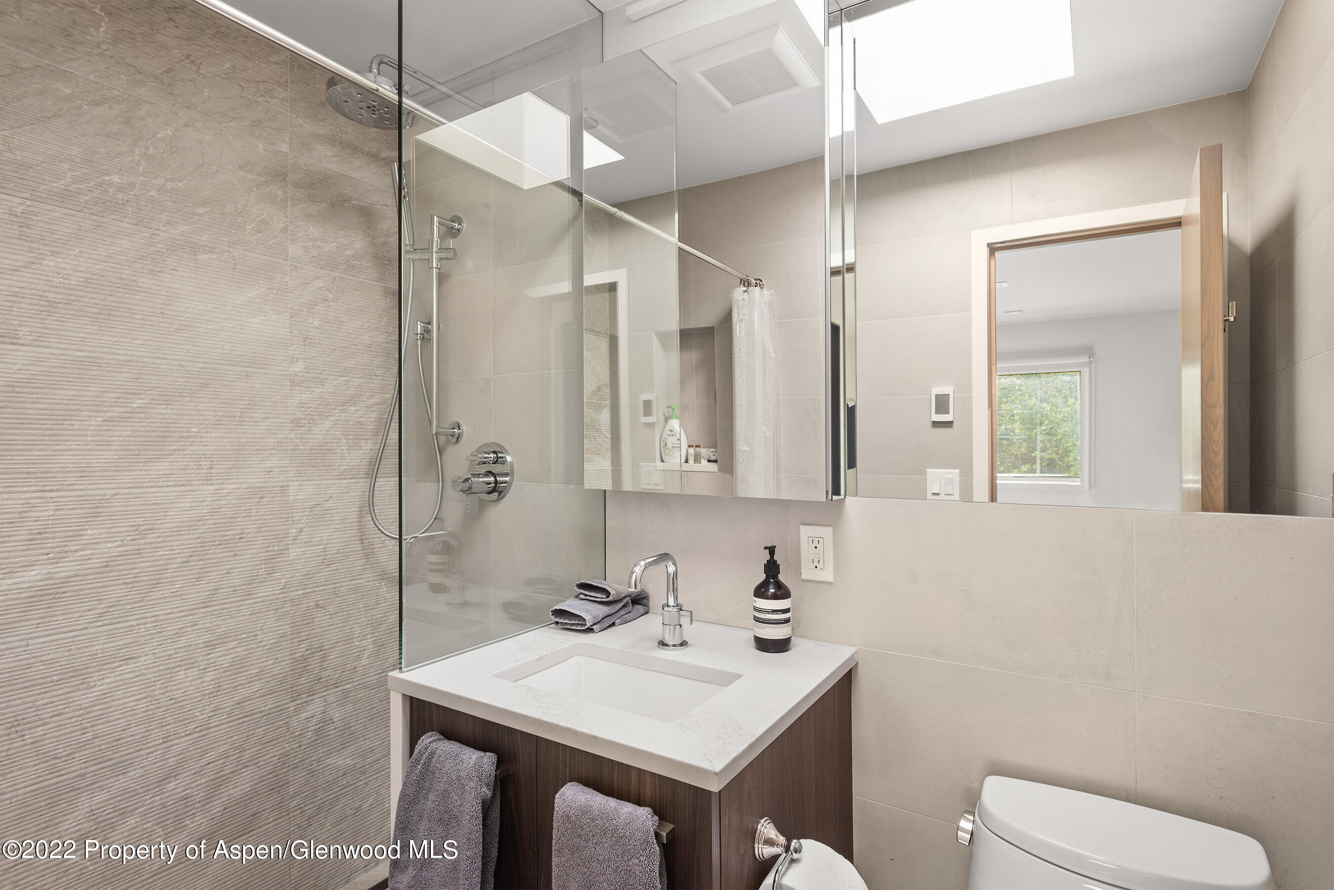 210 E Cooper Avenue Aspen CO 81611