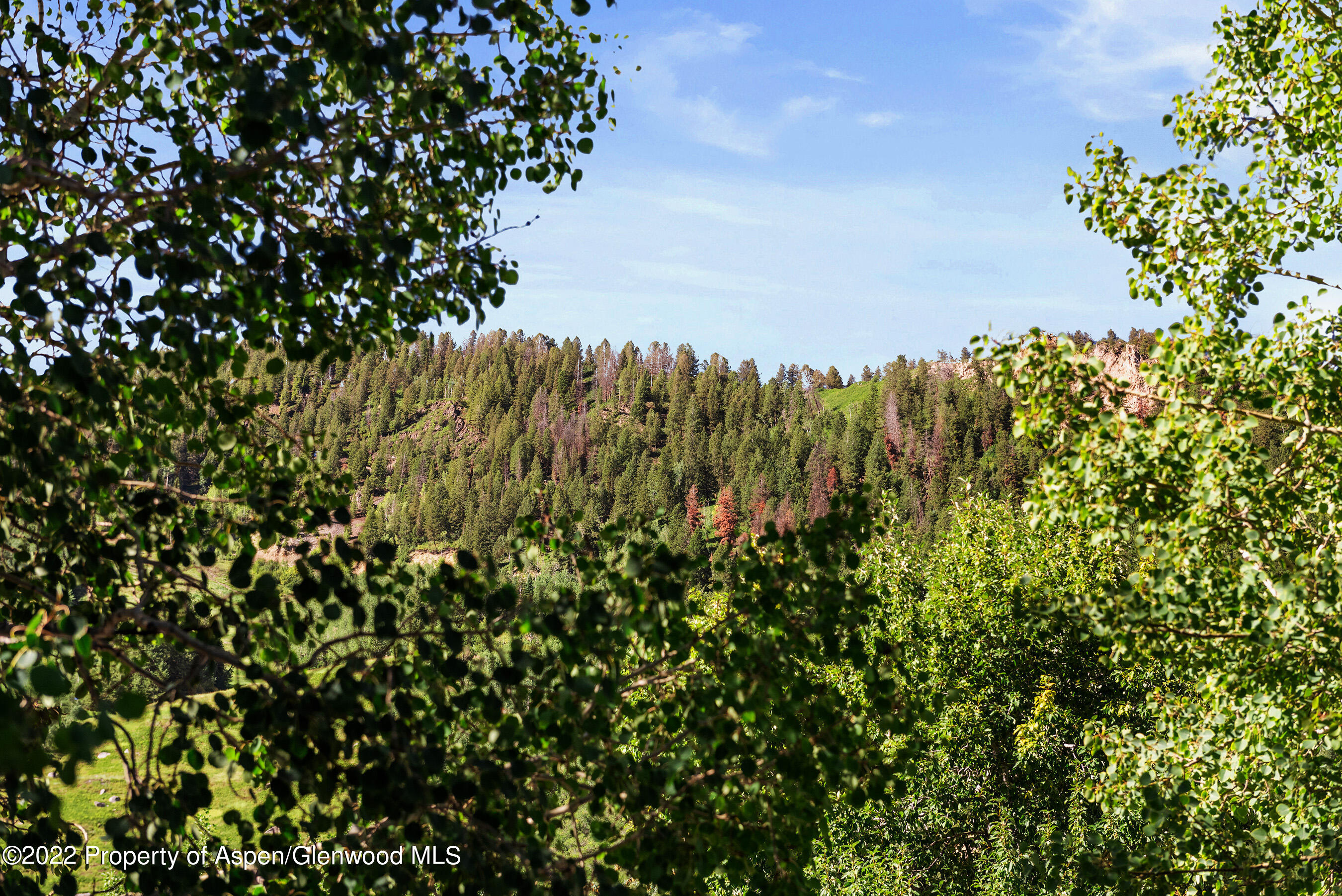 210 E Cooper Avenue Aspen CO 81611