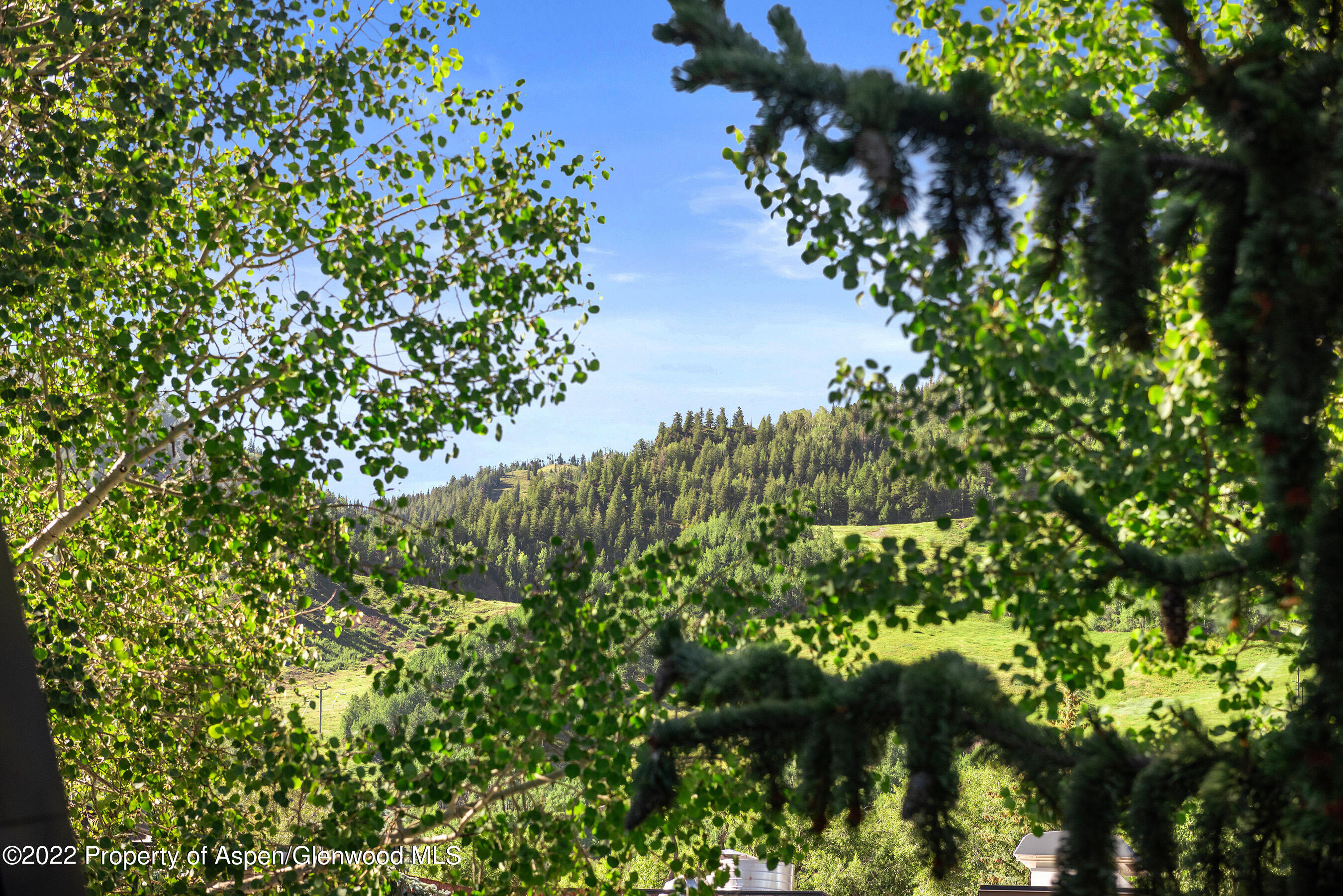 210 E Cooper Avenue Aspen CO 81611