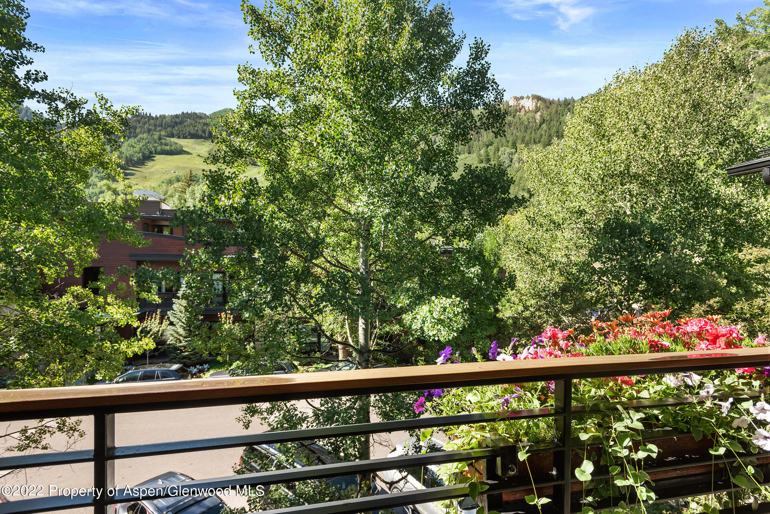 210 E Cooper Avenue Aspen CO 81611