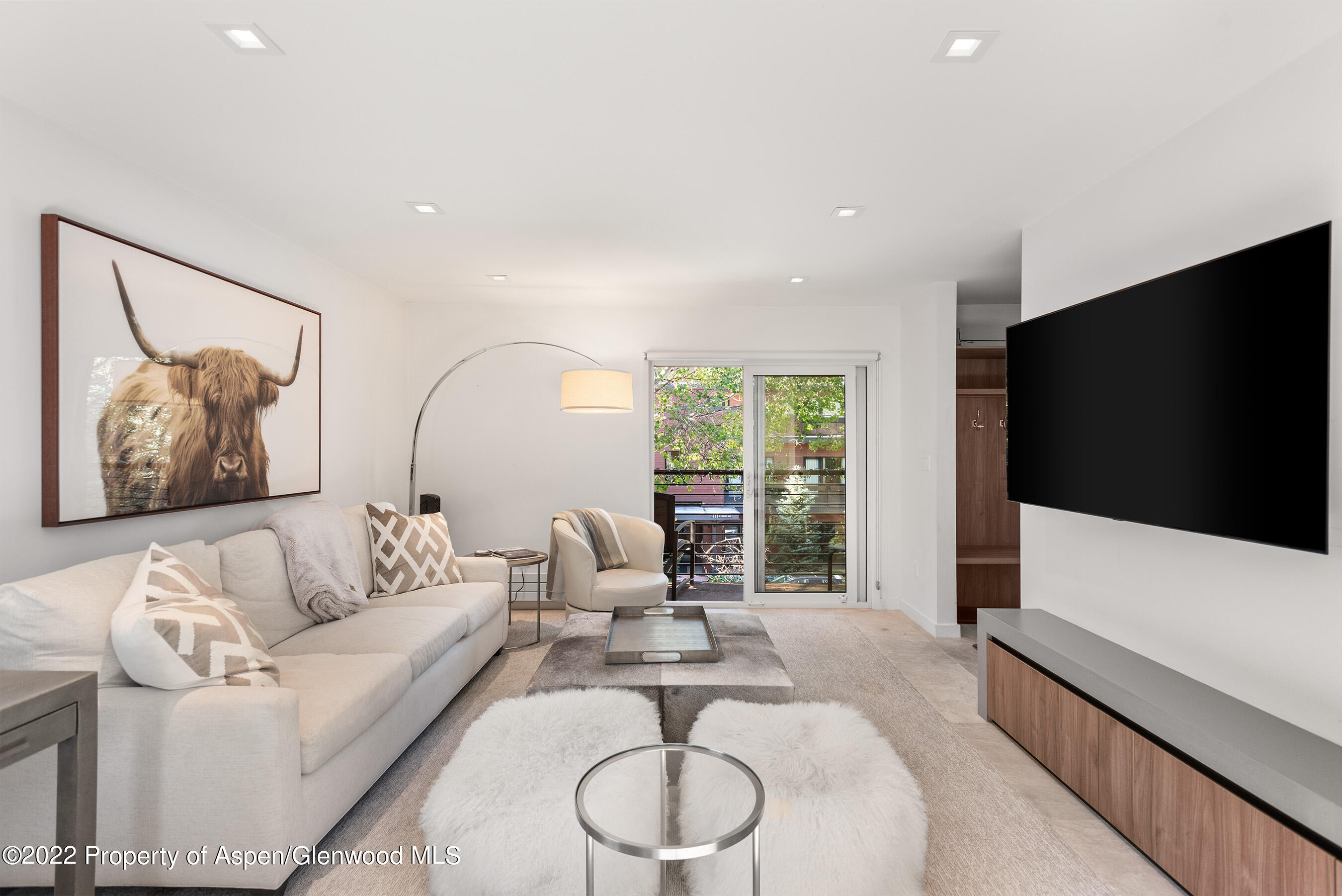 210 E Cooper Avenue Aspen CO 81611