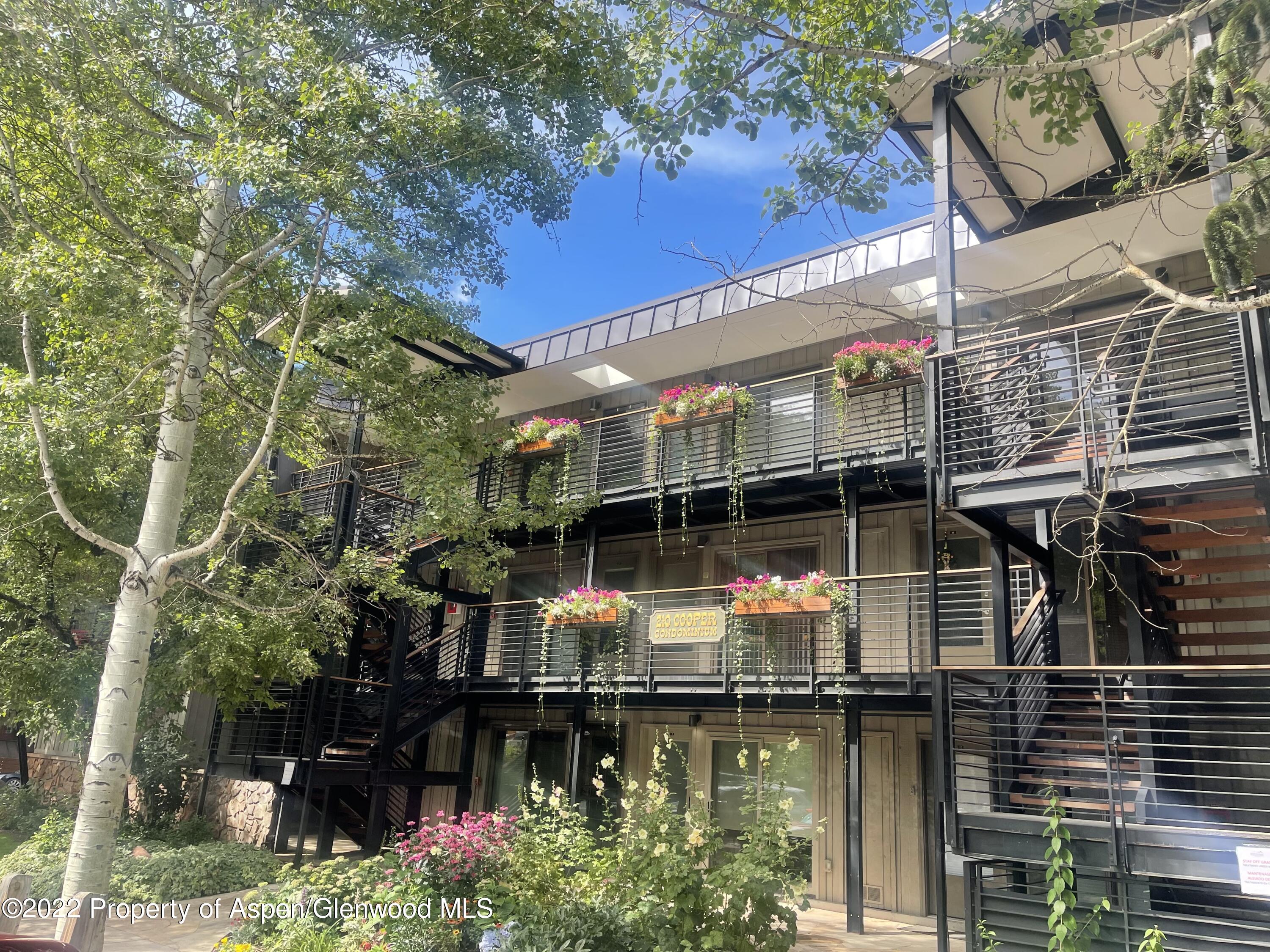 210 E Cooper Avenue Aspen CO 81611