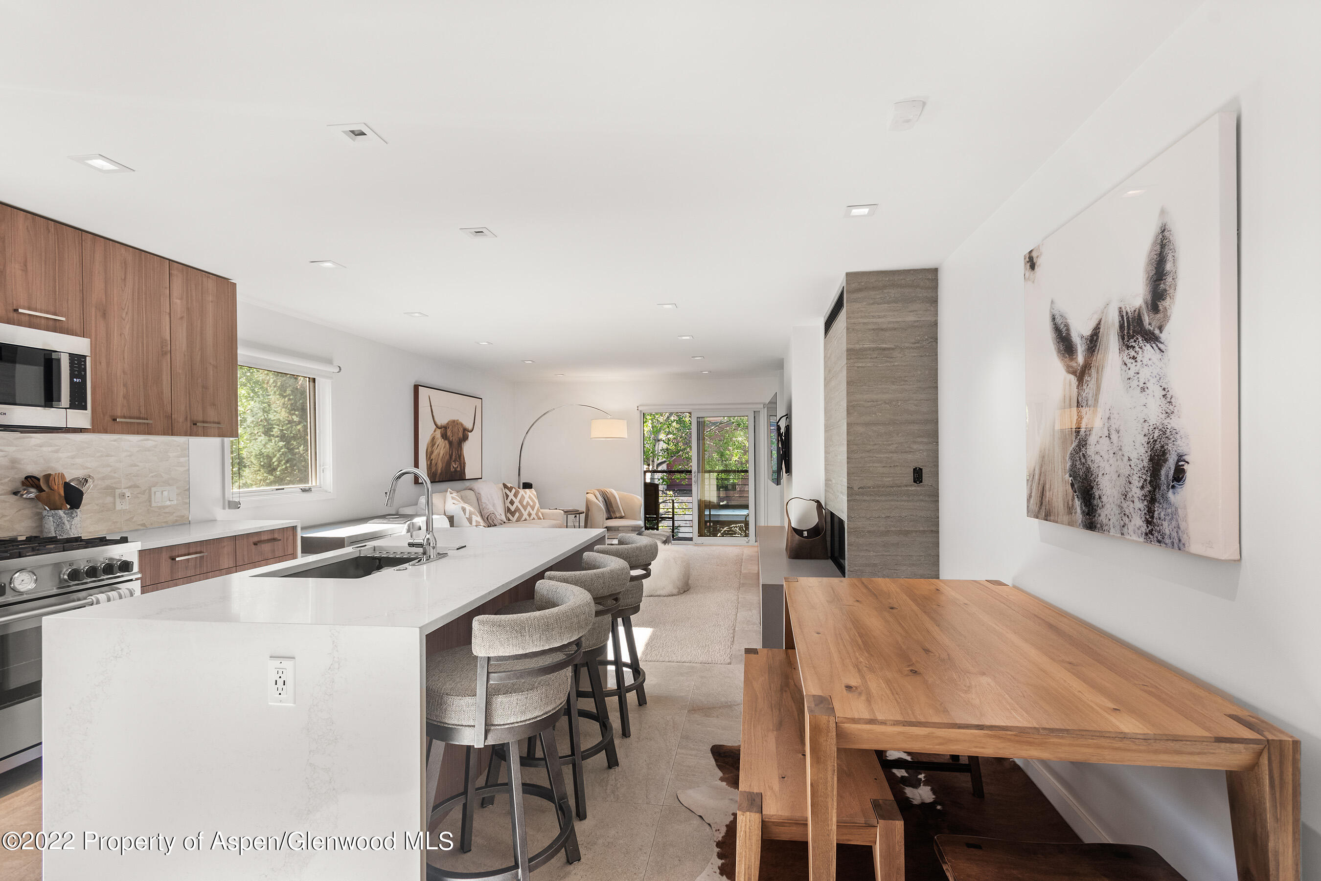 210 E Cooper Avenue Aspen CO 81611