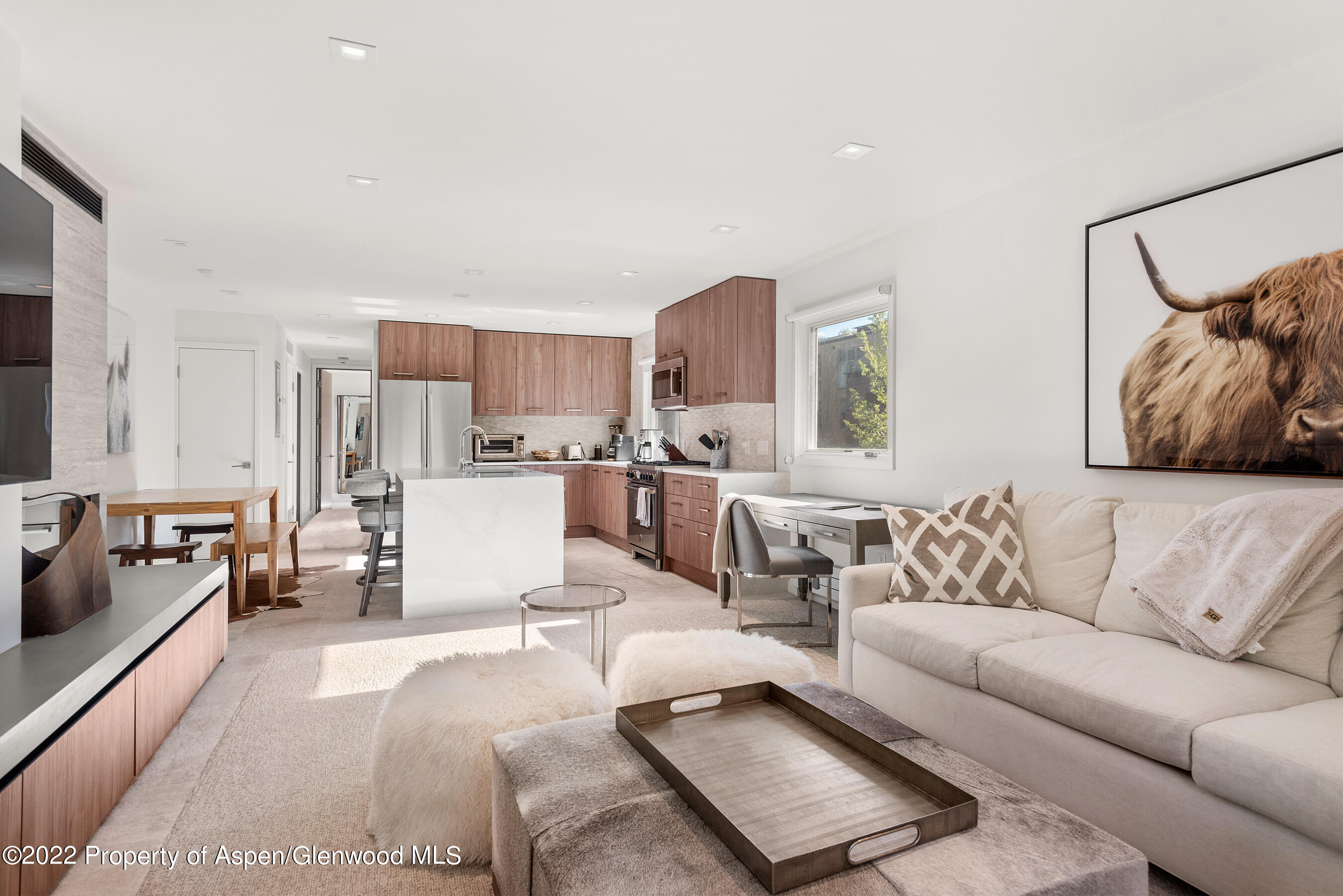 210 E Cooper Avenue Aspen CO 81611