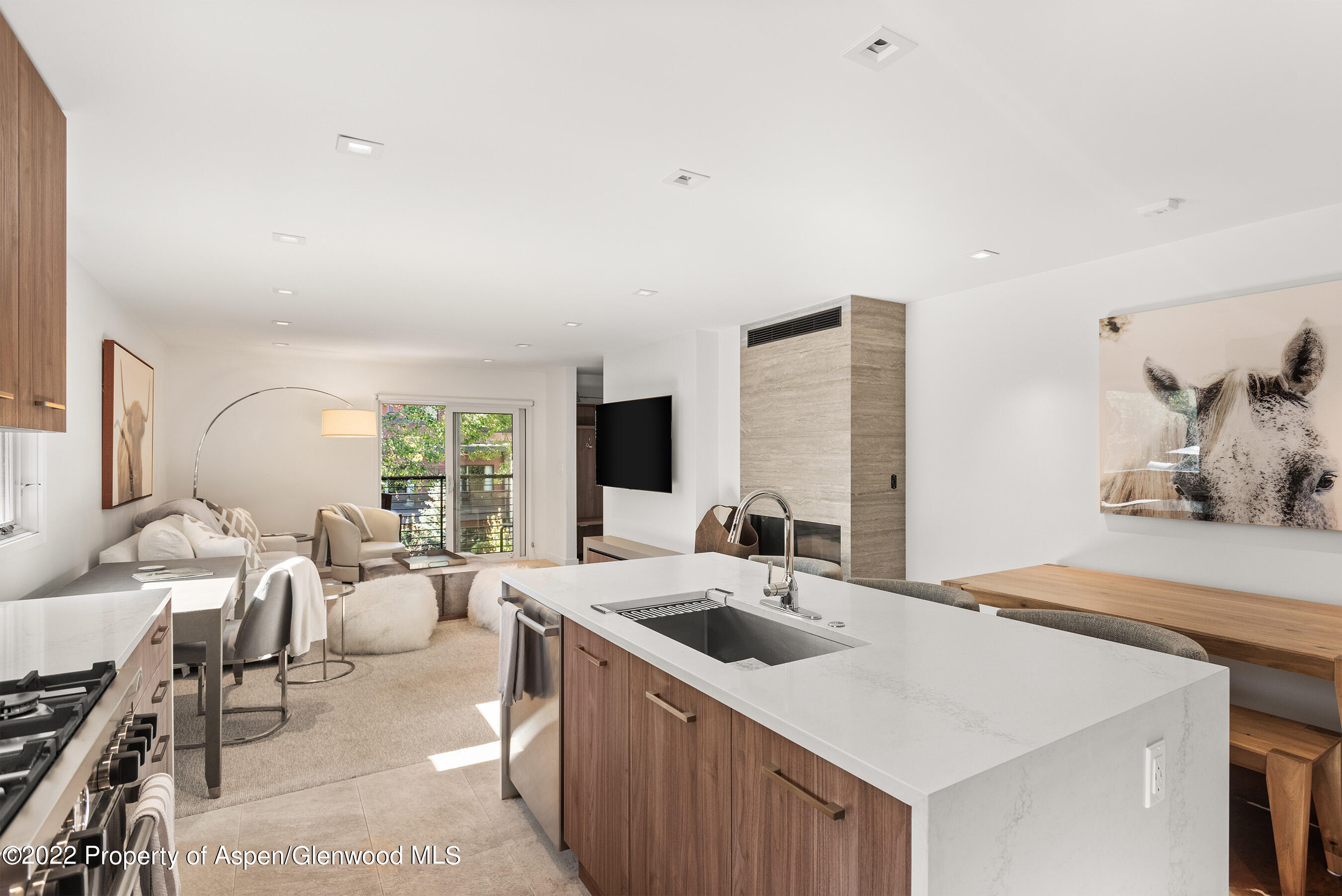 210 E Cooper Avenue Aspen CO 81611