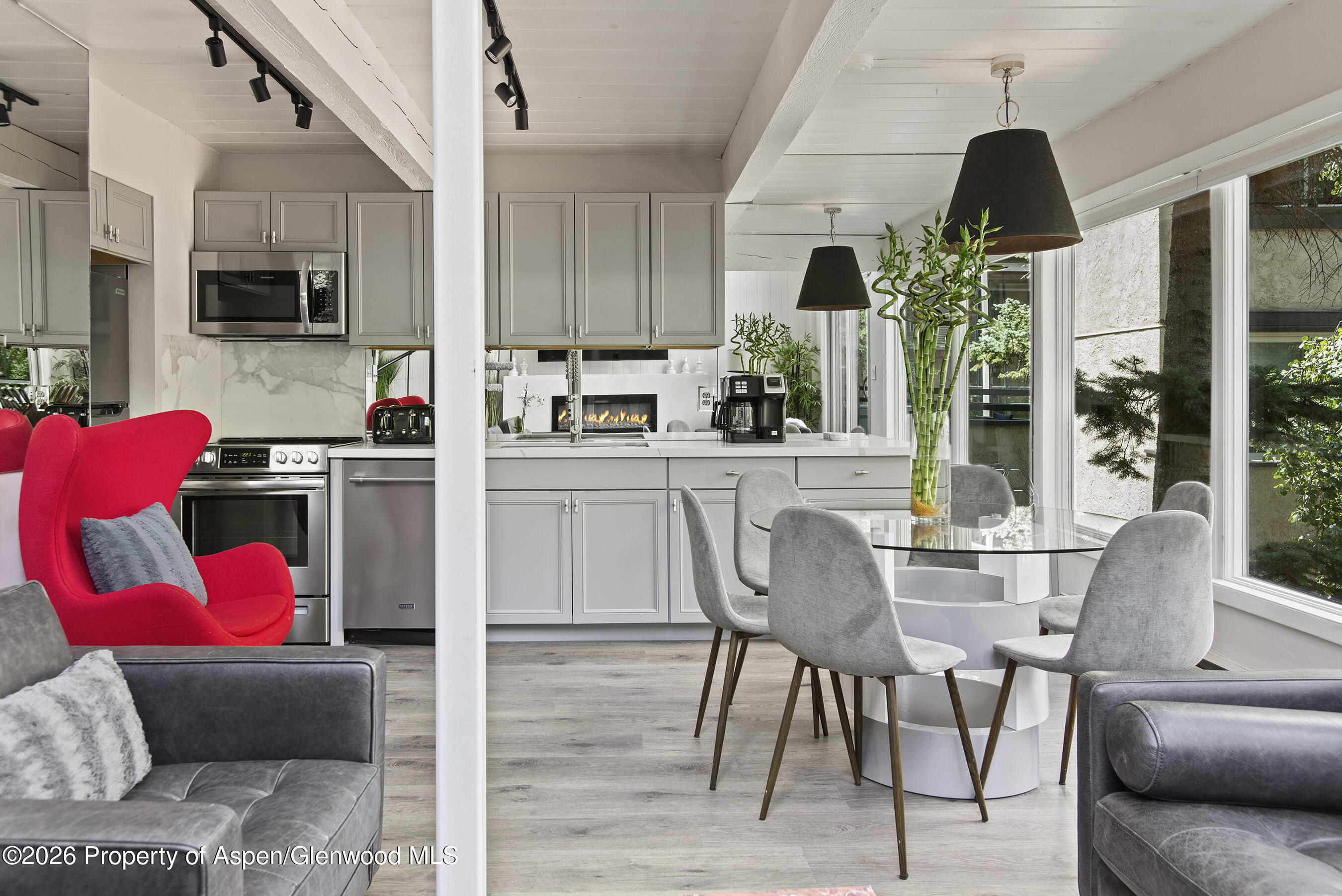 1024 E Cooper Avenue Aspen CO 81611