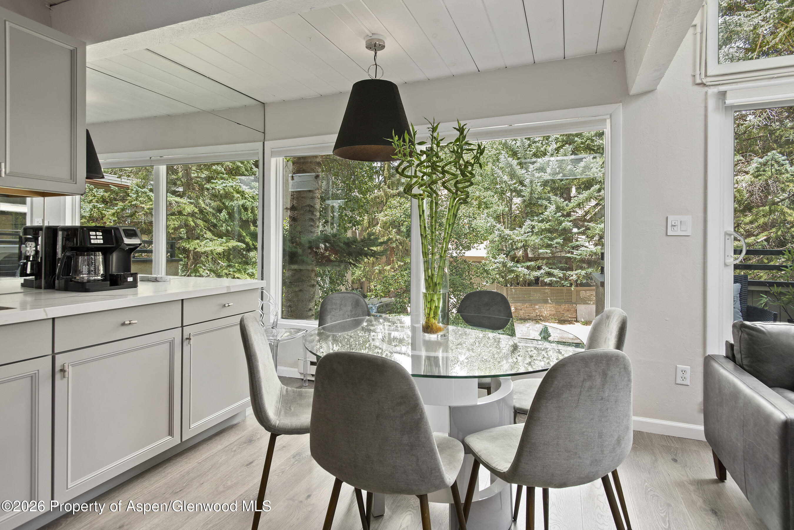 1024 E Cooper Avenue Aspen CO 81611