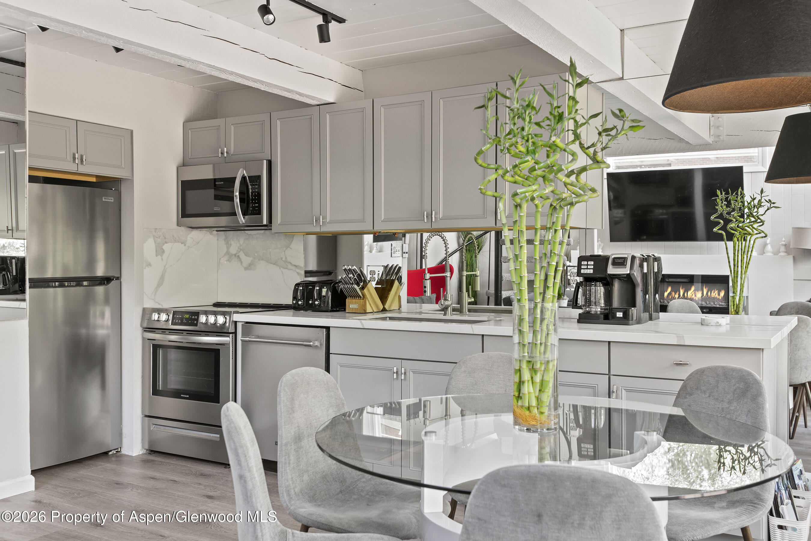 1024 E Cooper Avenue Aspen CO 81611