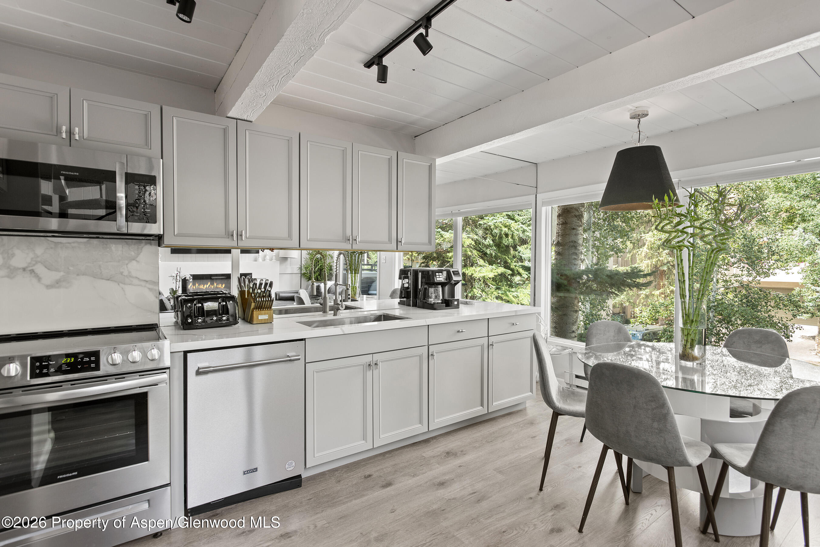 1024 E Cooper Avenue Aspen CO 81611