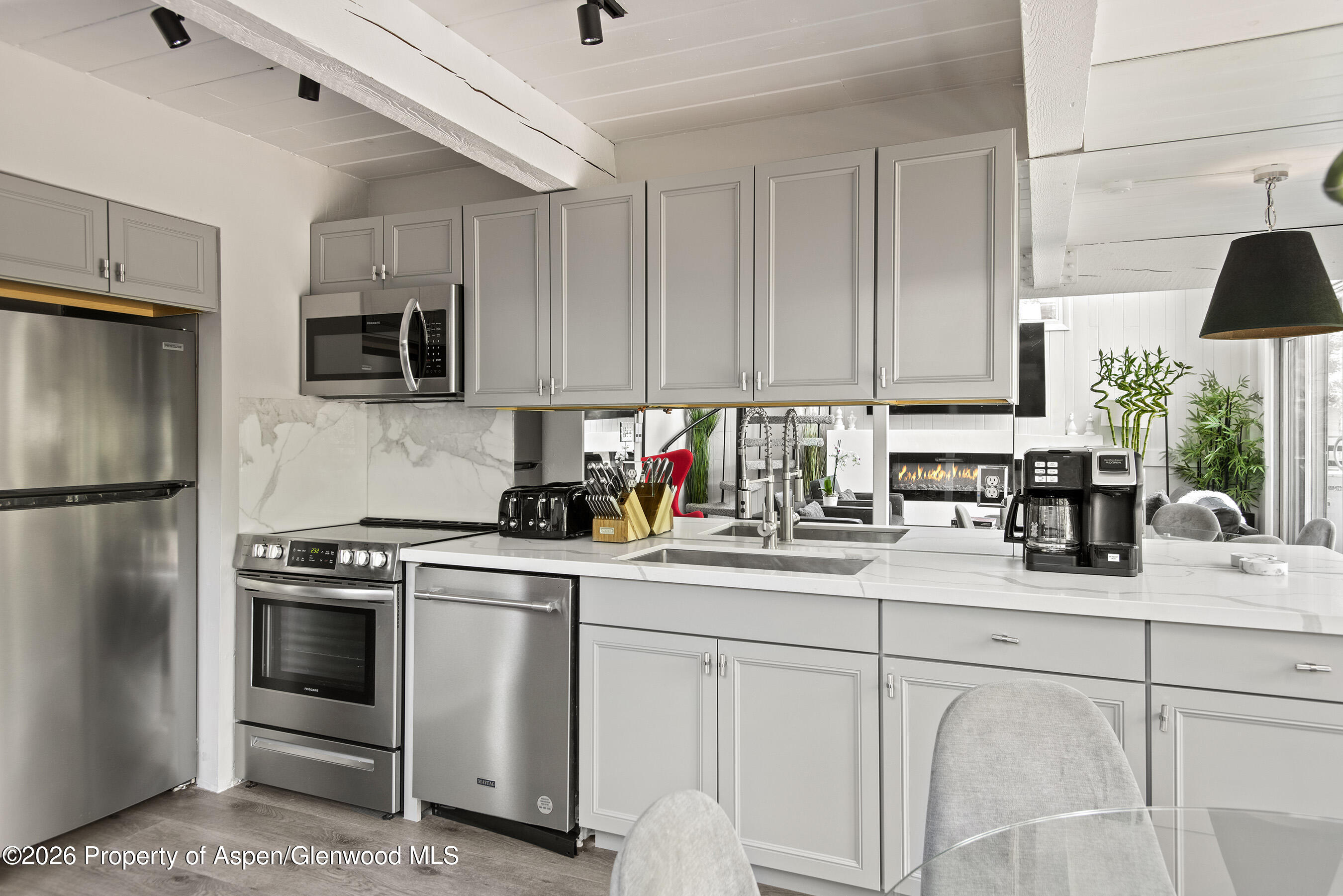 1024 E Cooper Avenue Aspen CO 81611