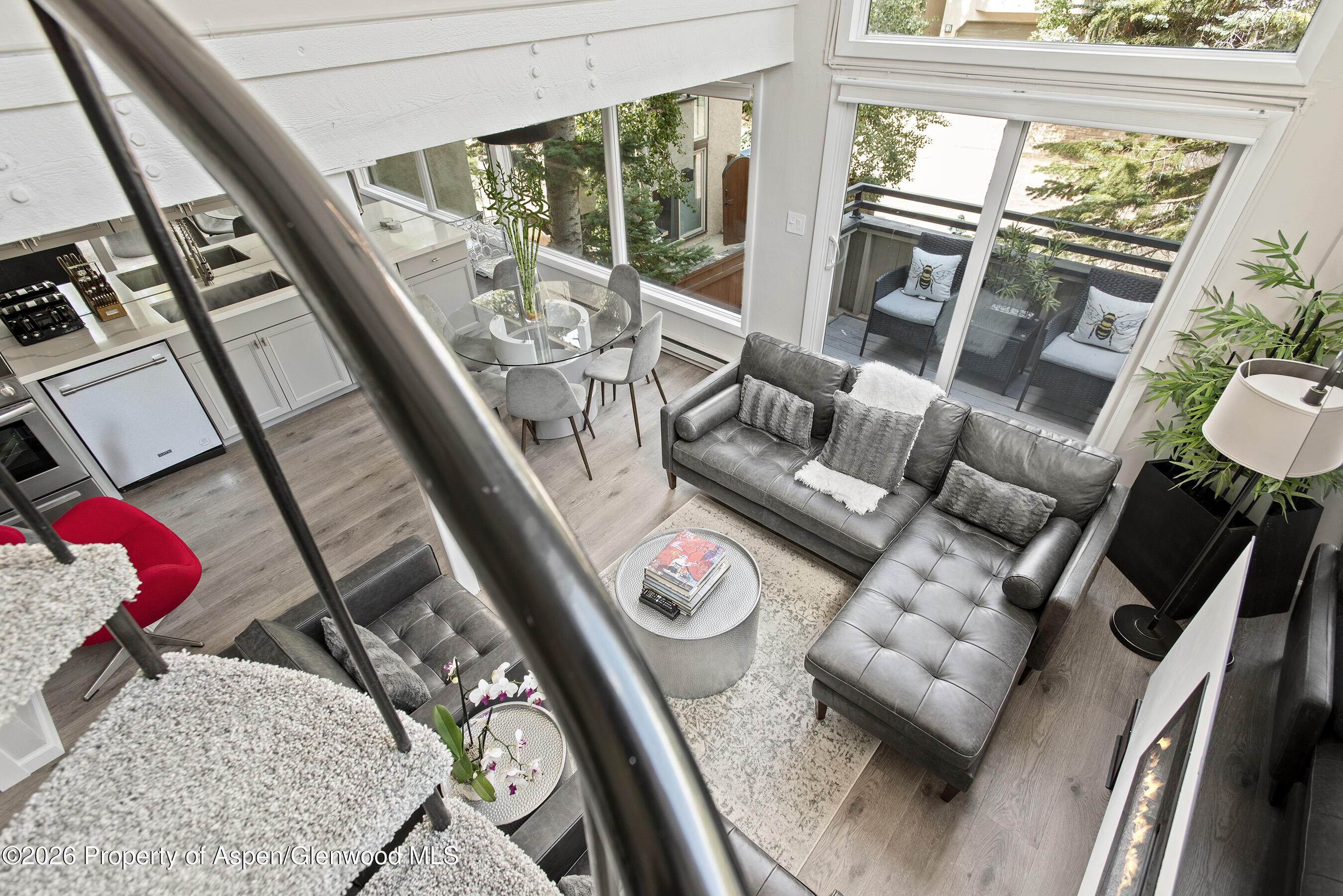 1024 E Cooper Avenue Aspen CO 81611