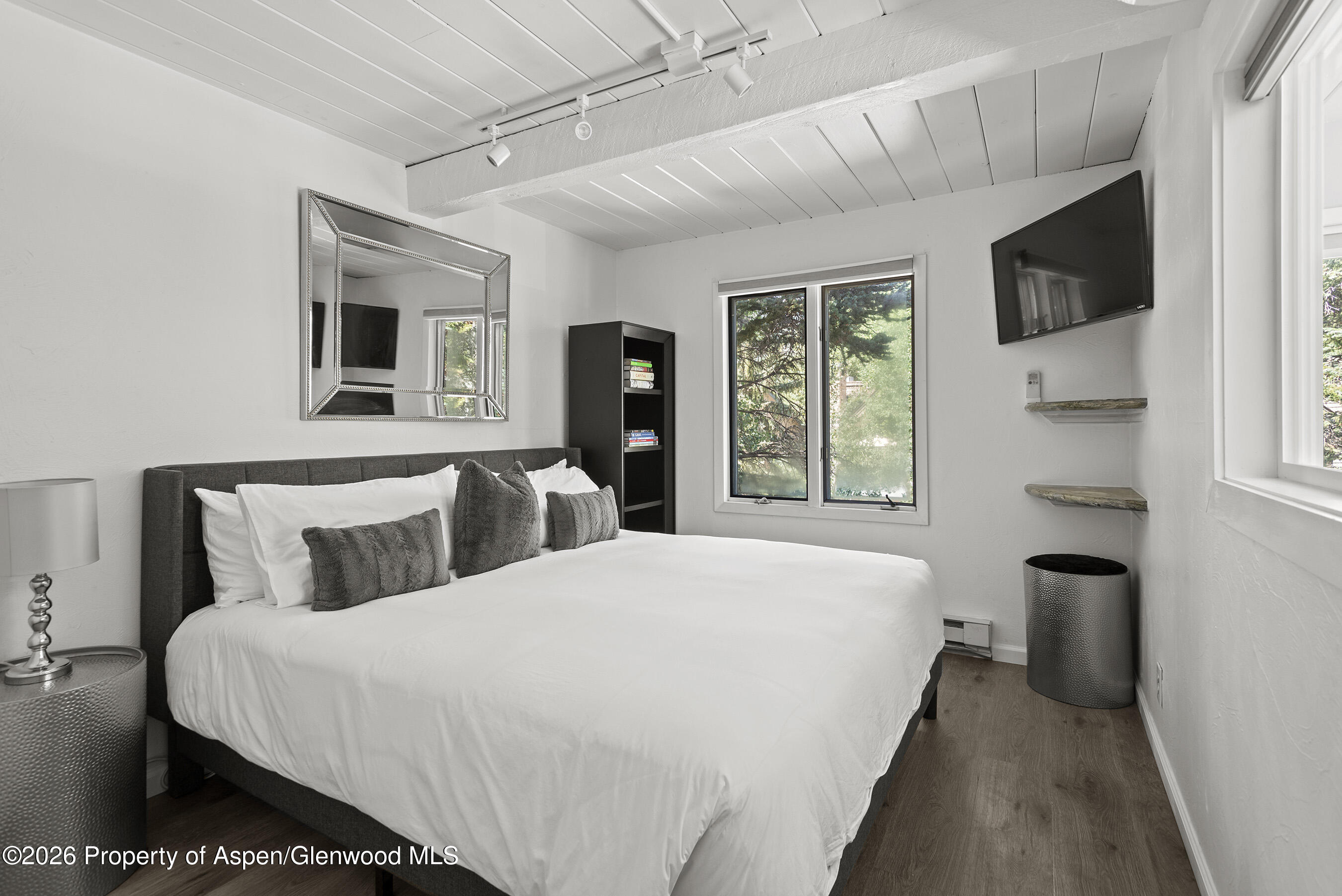 1024 E Cooper Avenue Aspen CO 81611