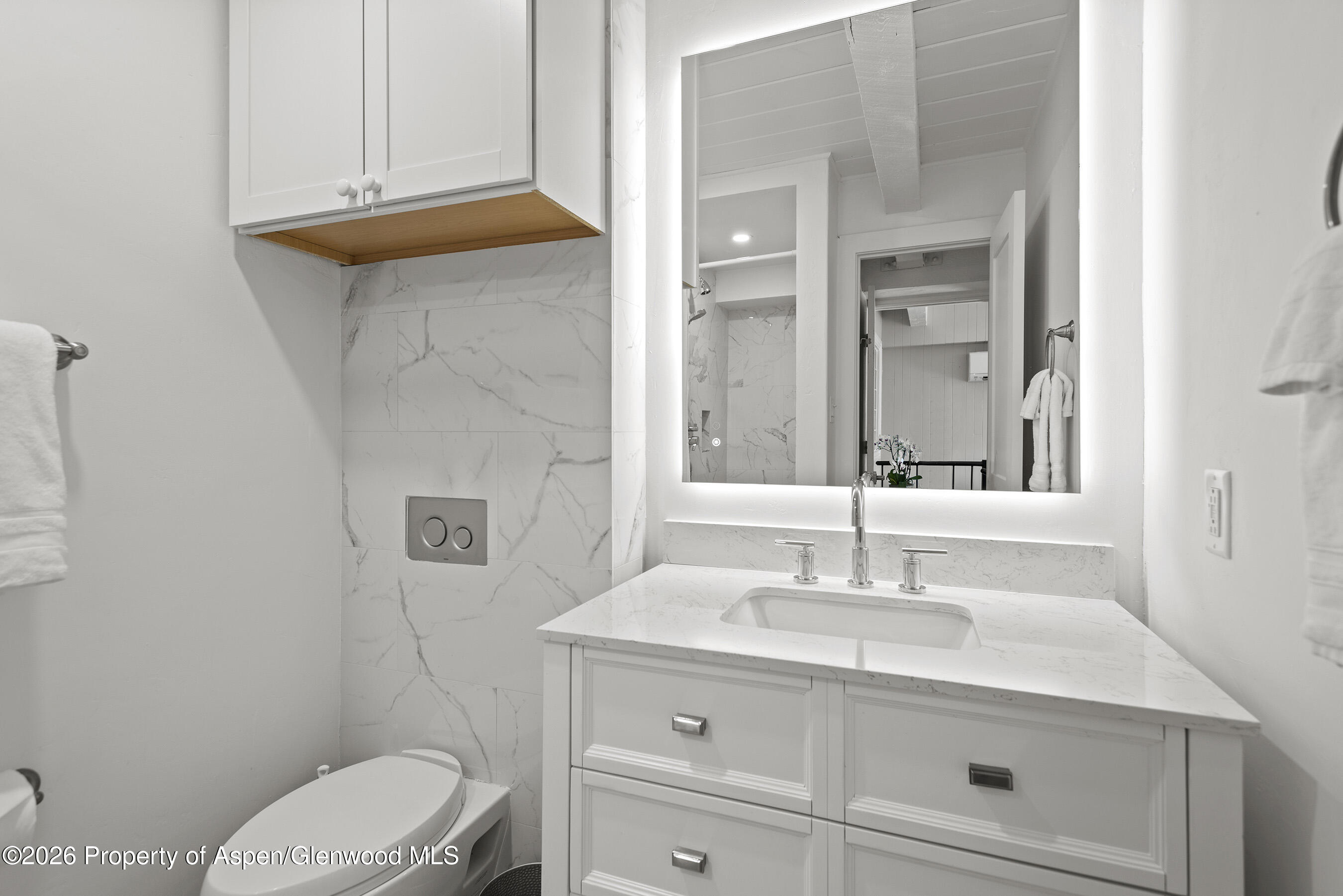 1024 E Cooper Avenue Aspen CO 81611