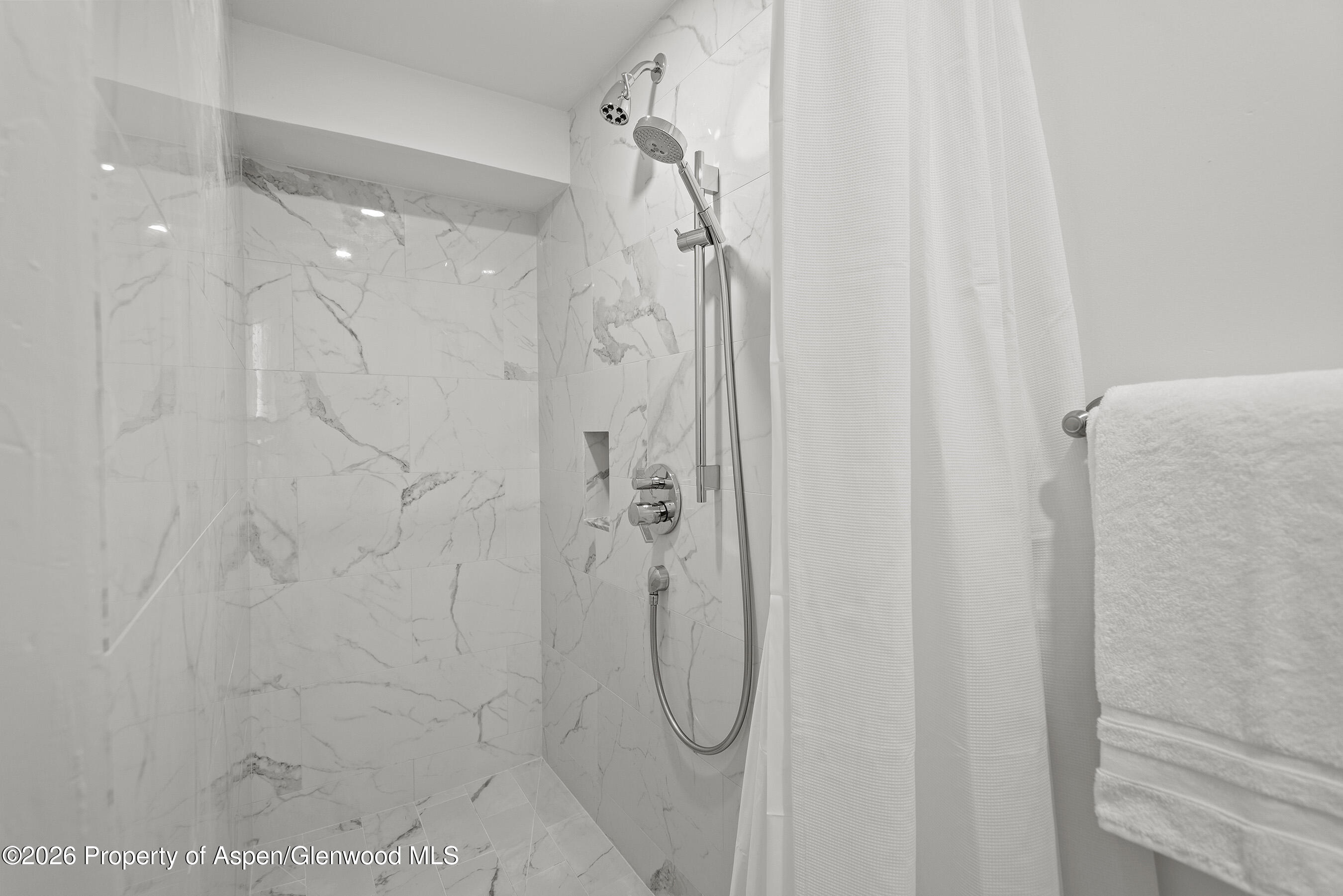 1024 E Cooper Avenue Aspen CO 81611