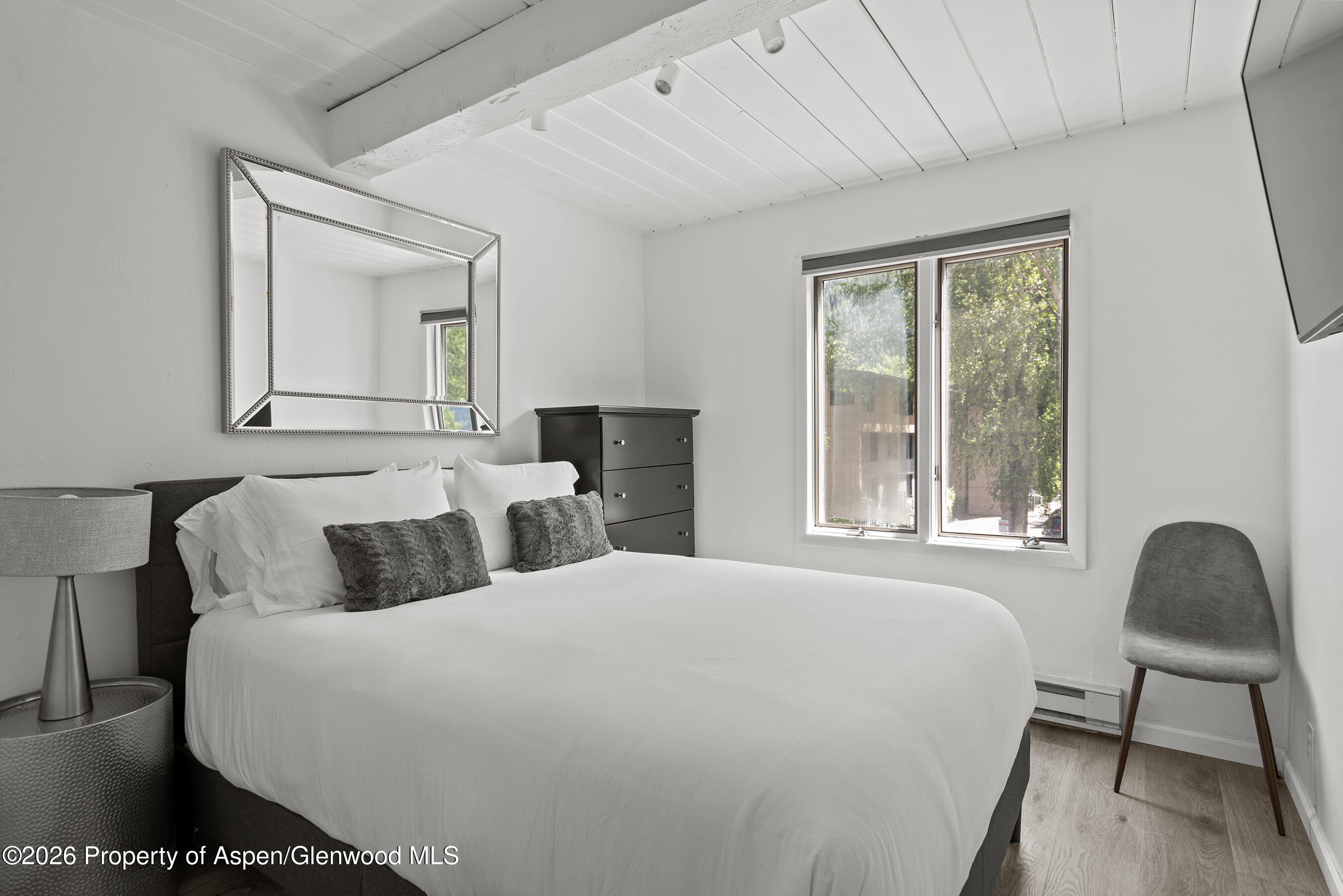 1024 E Cooper Avenue Aspen CO 81611