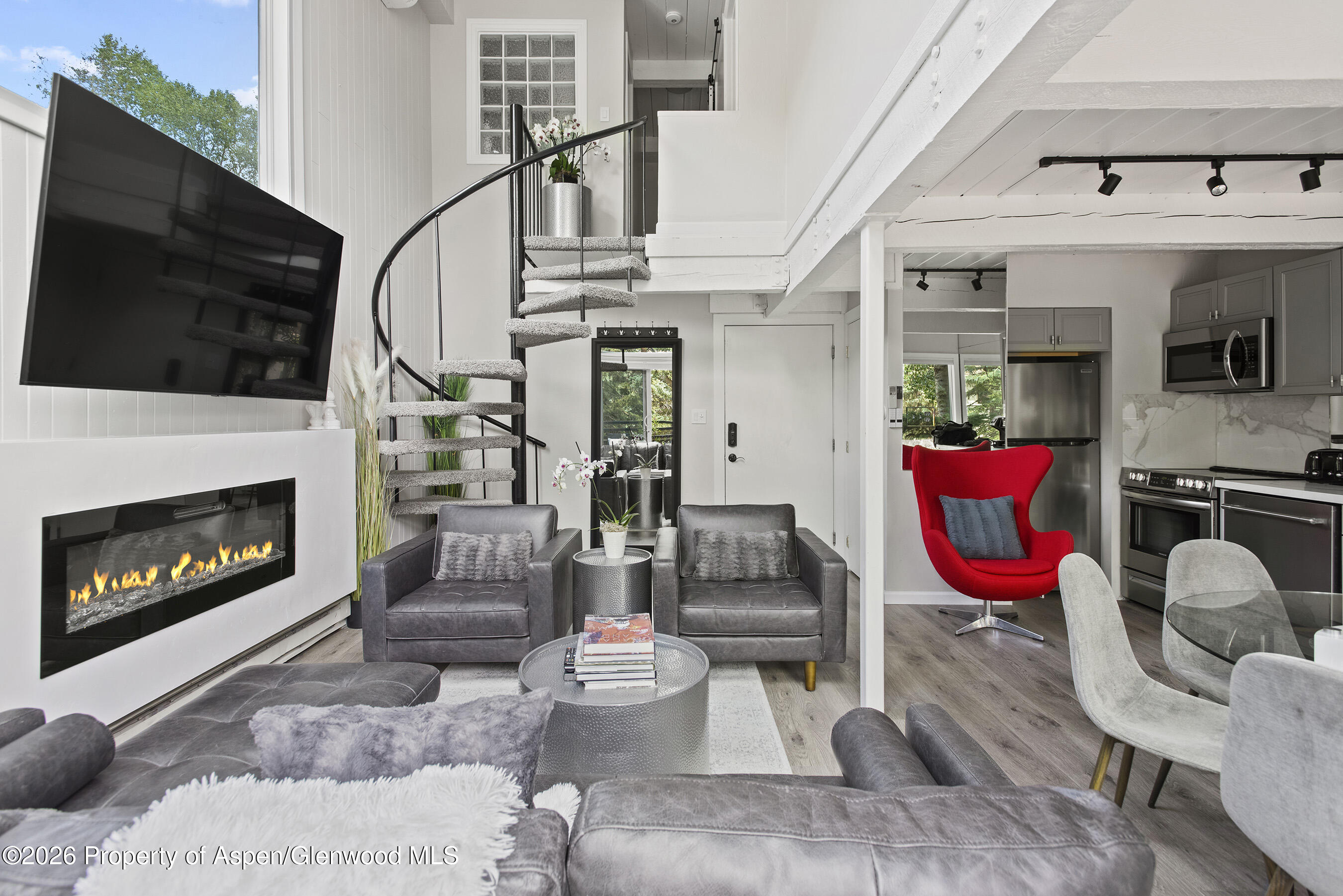 1024 E Cooper Avenue Aspen CO 81611