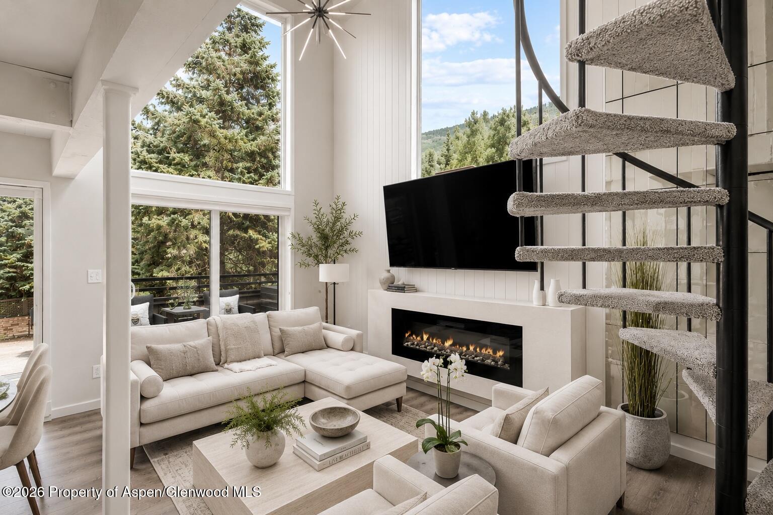 1024 E Cooper Avenue Aspen CO 81611