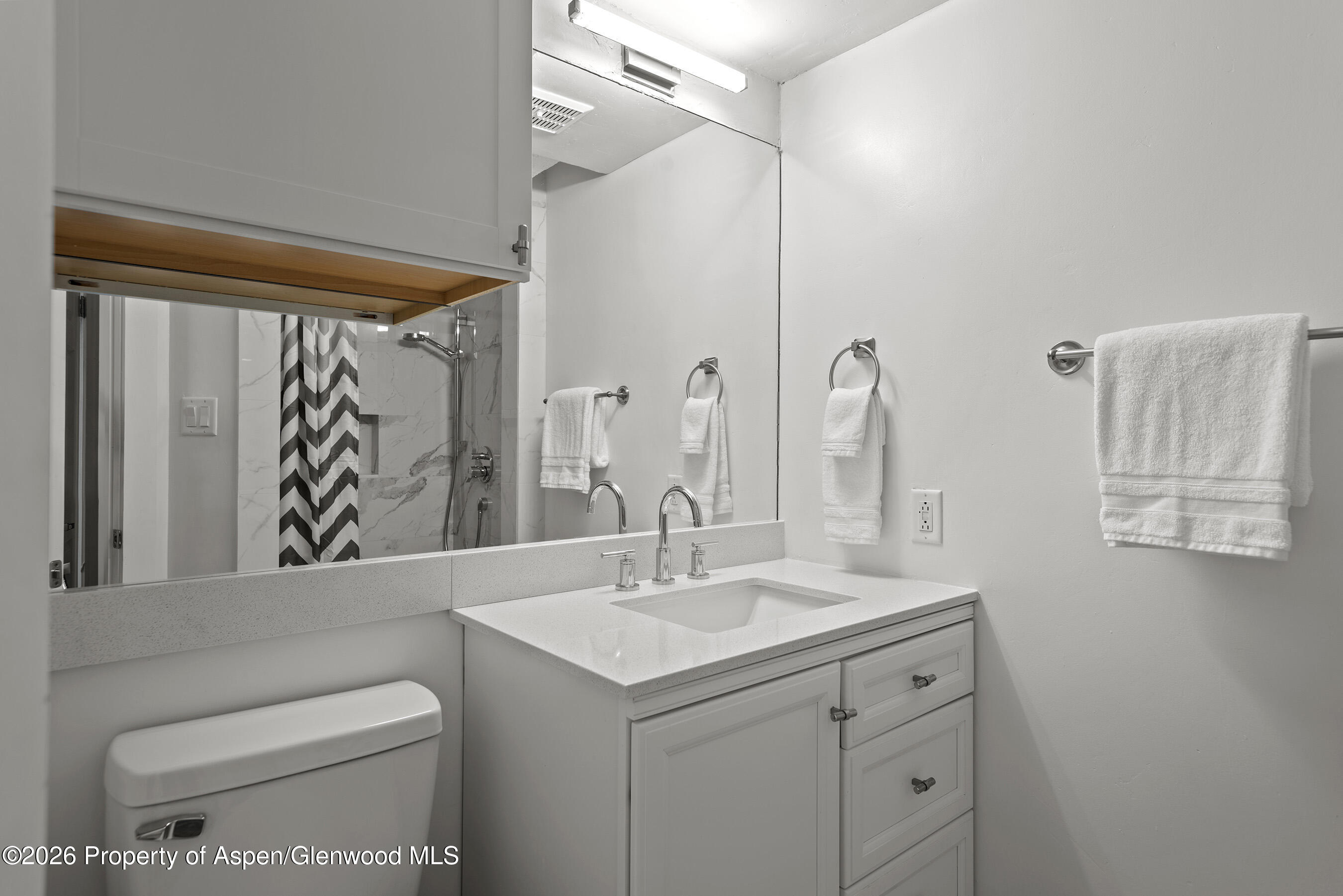 1024 E Cooper Avenue Aspen CO 81611