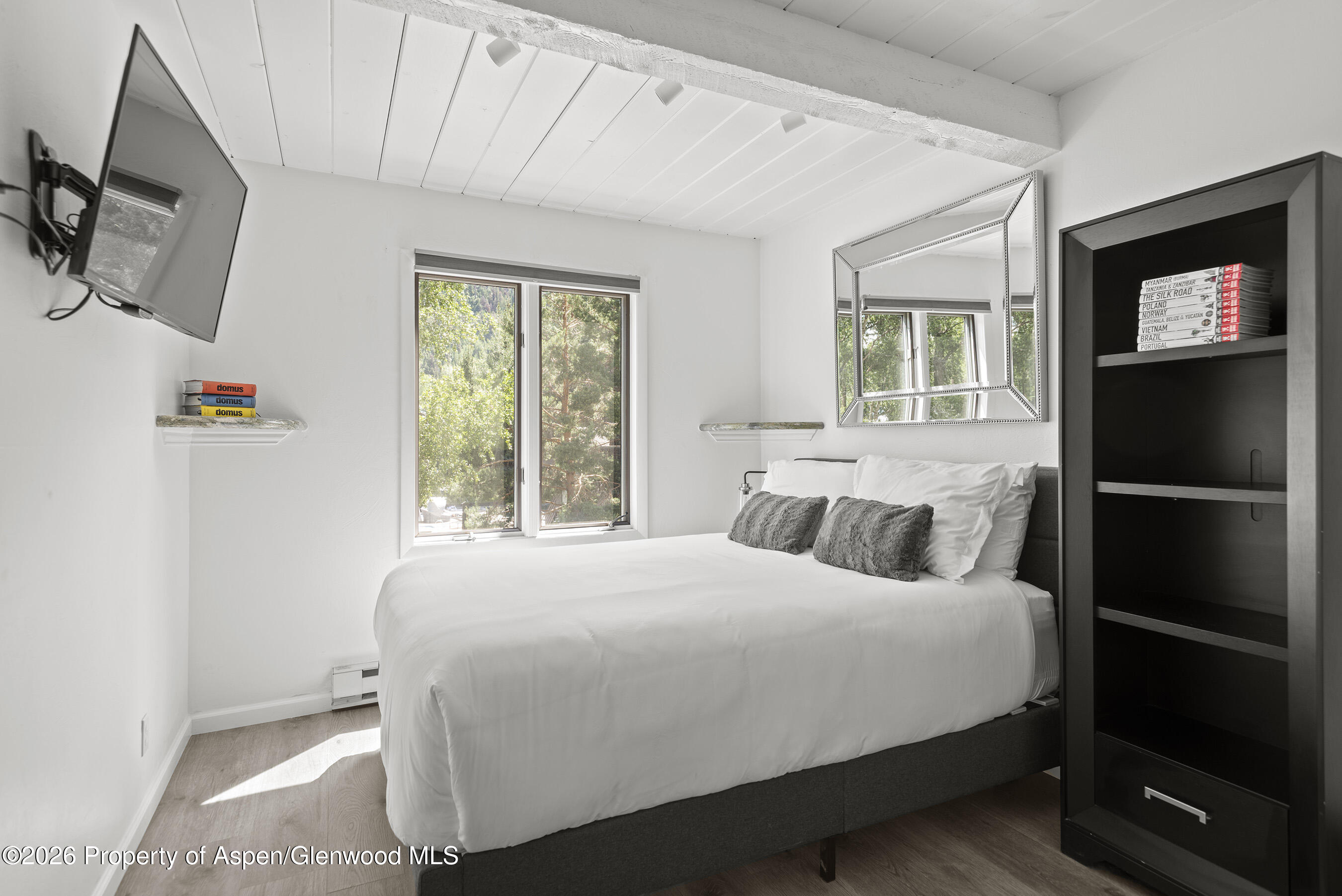 1024 E Cooper Avenue Aspen CO 81611