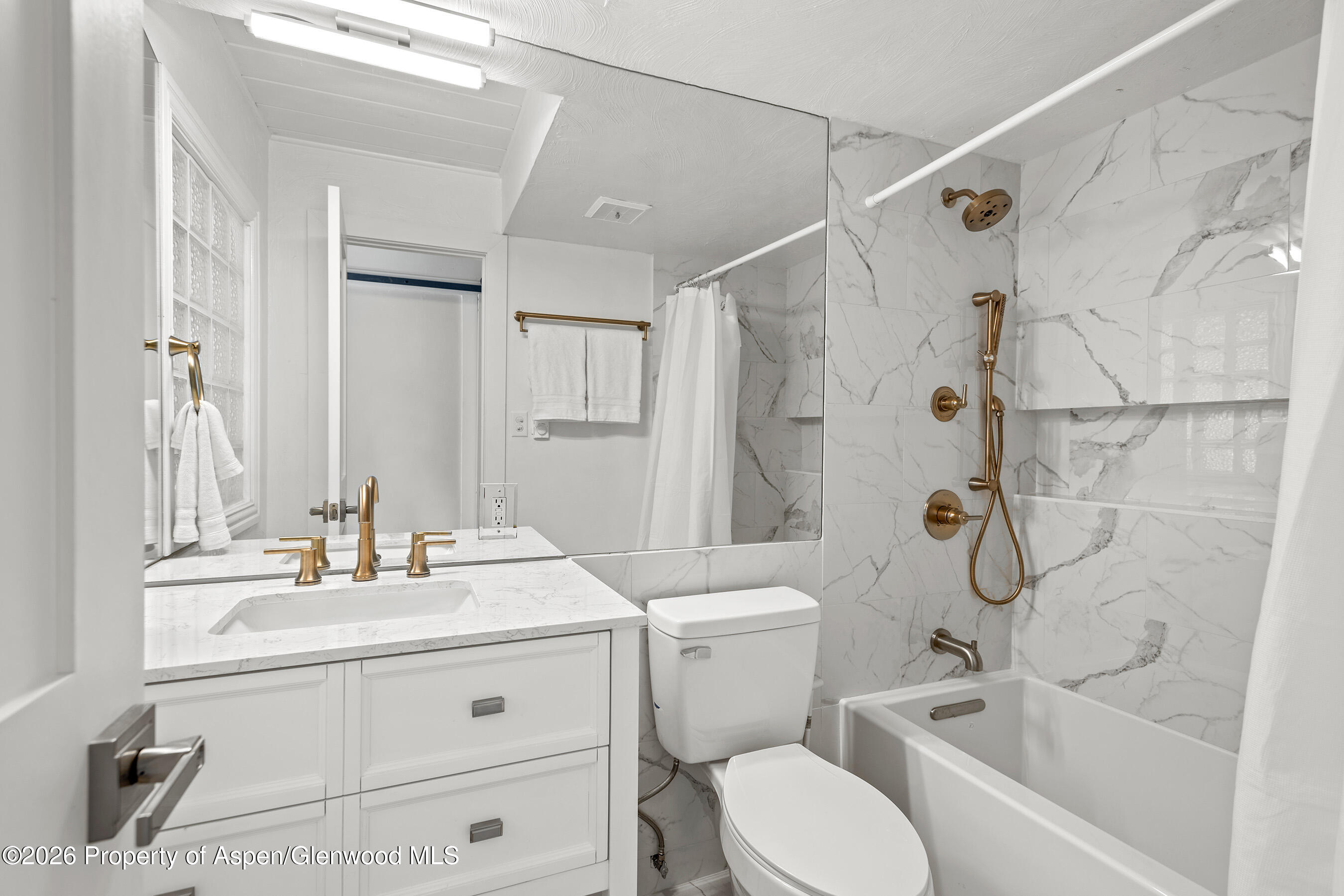 1024 E Cooper Avenue Aspen CO 81611