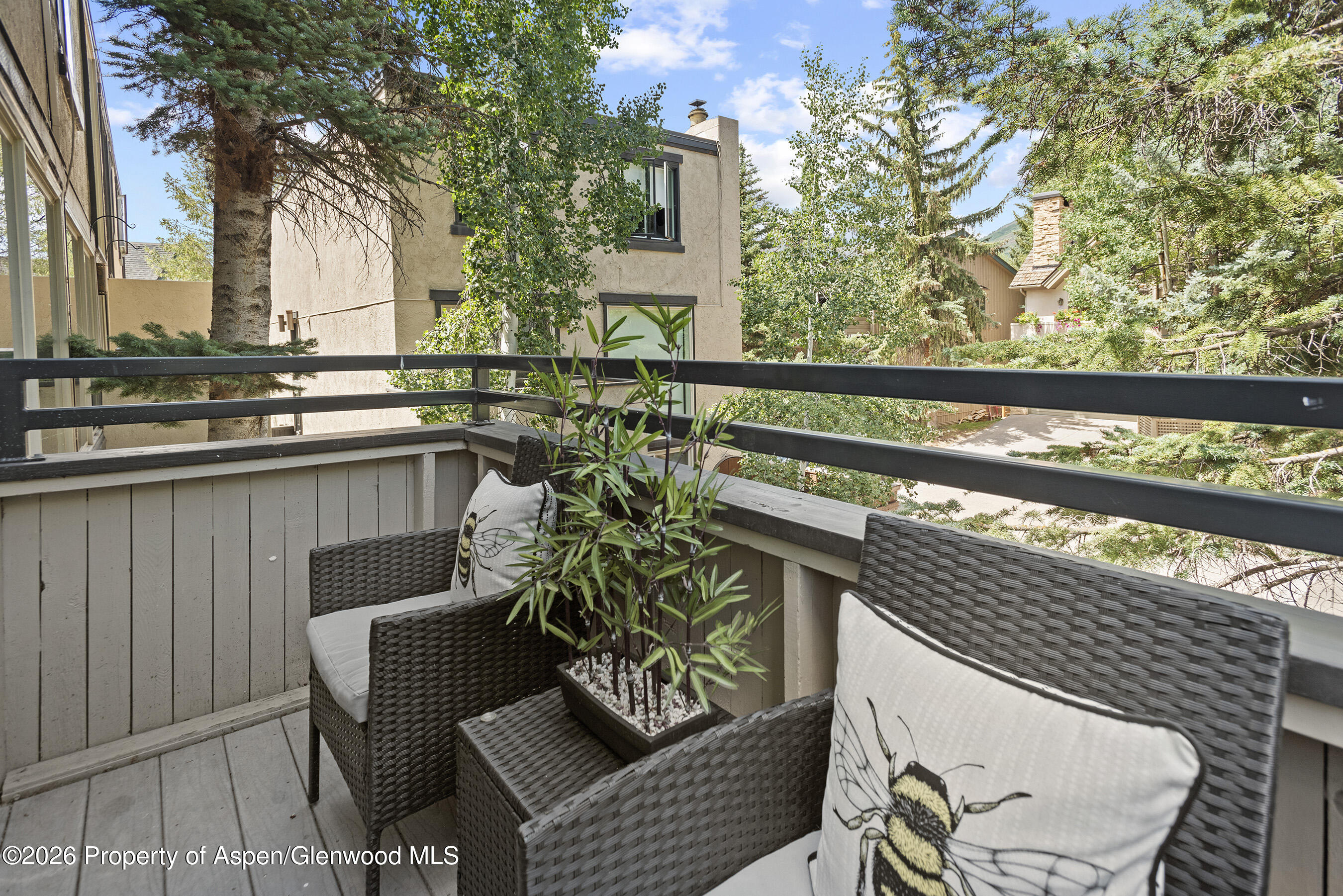 1024 E Cooper Avenue Aspen CO 81611