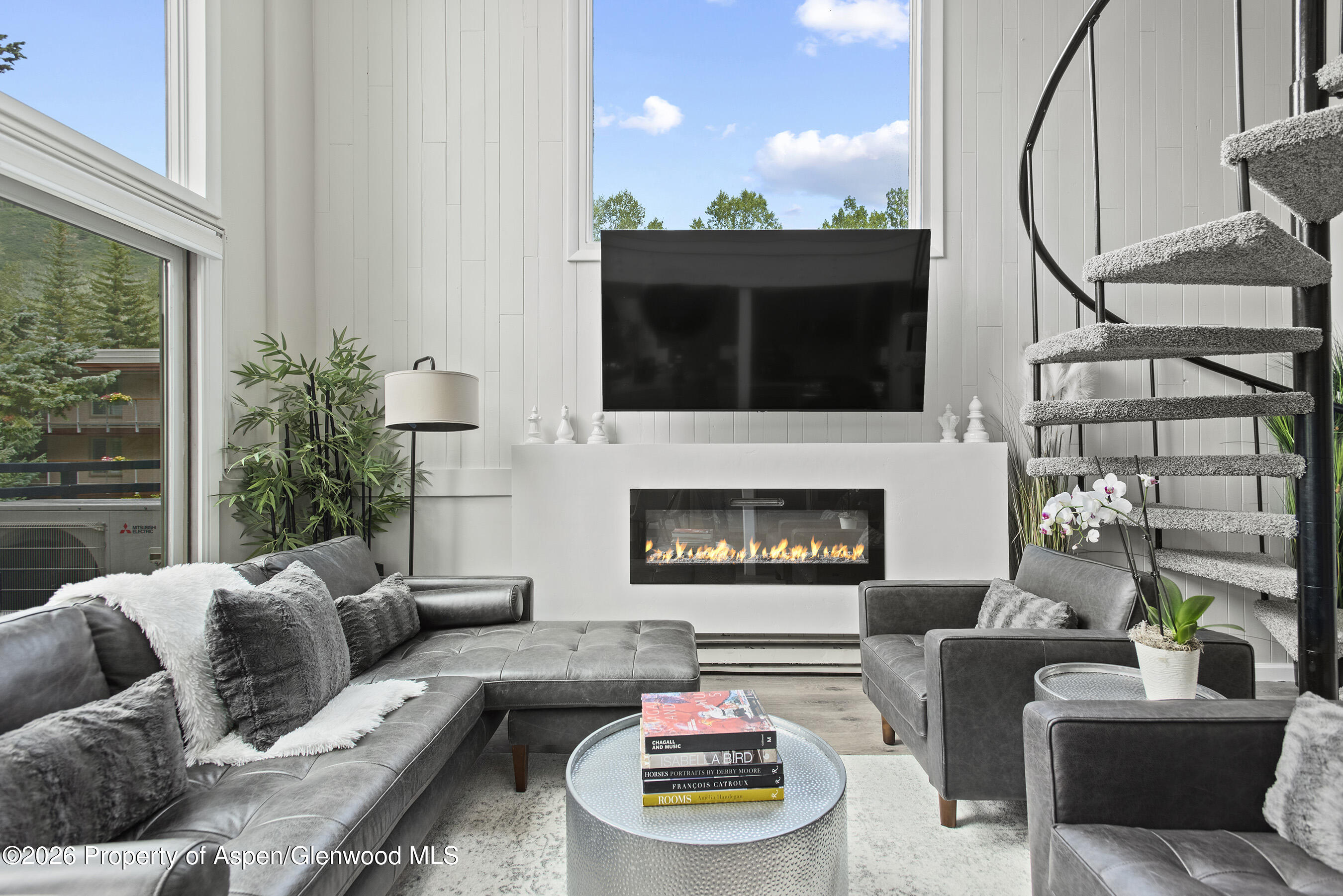 1024 E Cooper Avenue Aspen CO 81611