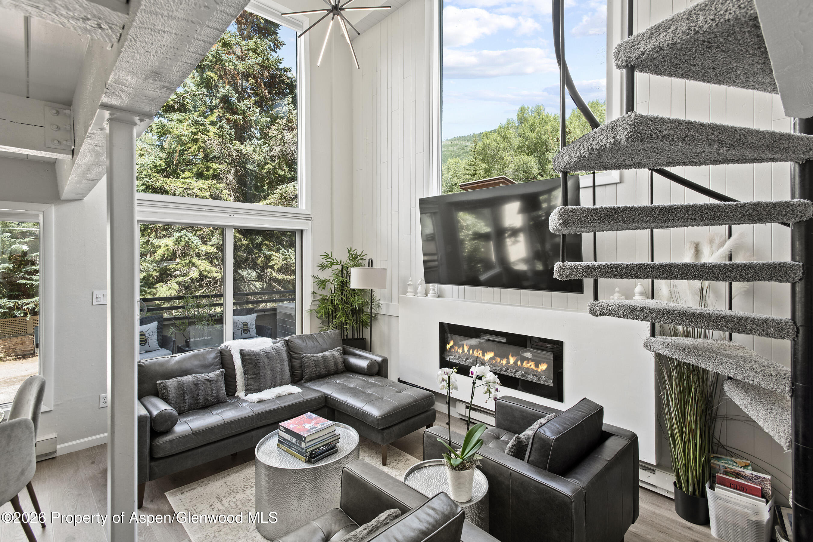 1024 E Cooper Avenue Aspen CO 81611