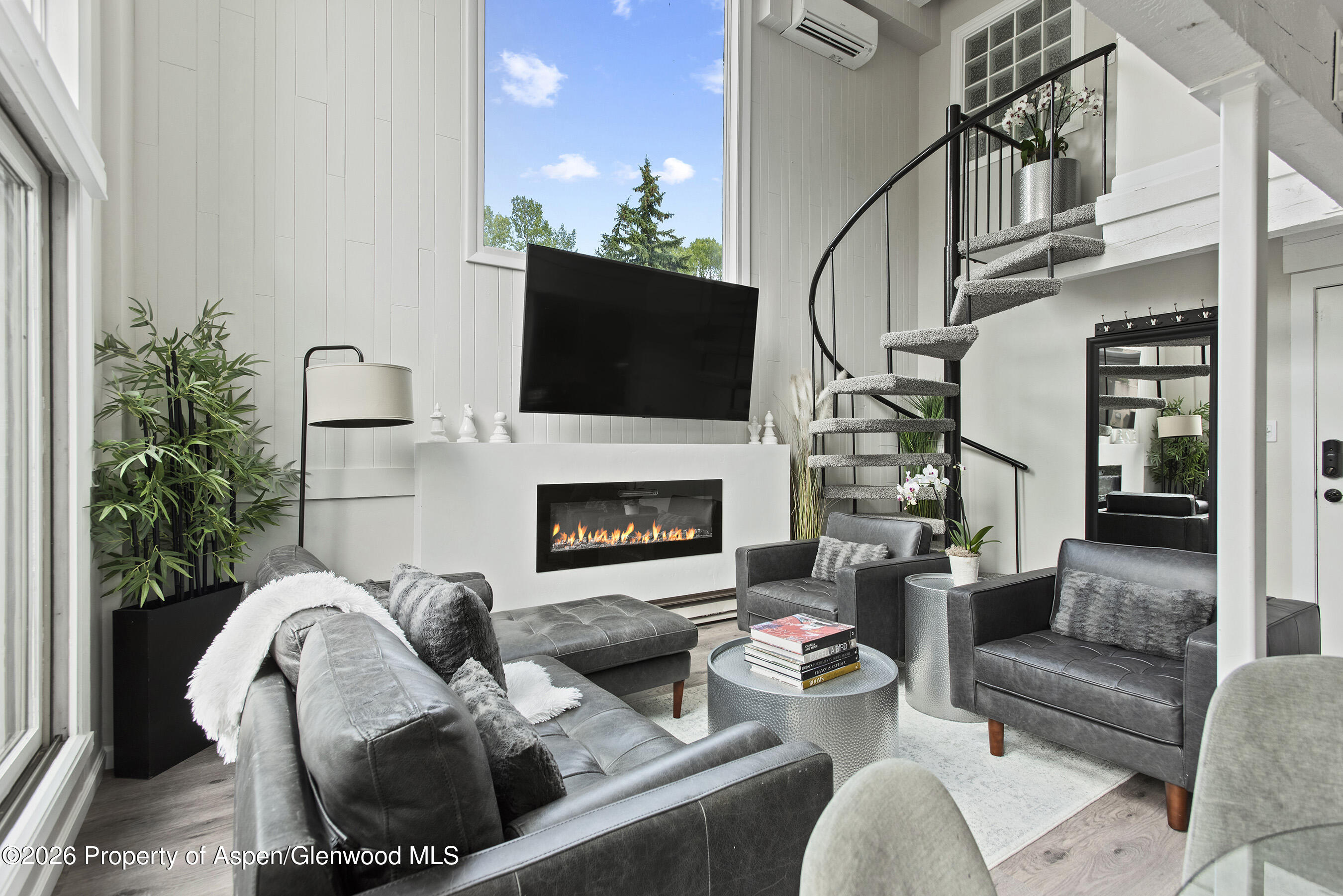 1024 E Cooper Avenue Aspen CO 81611