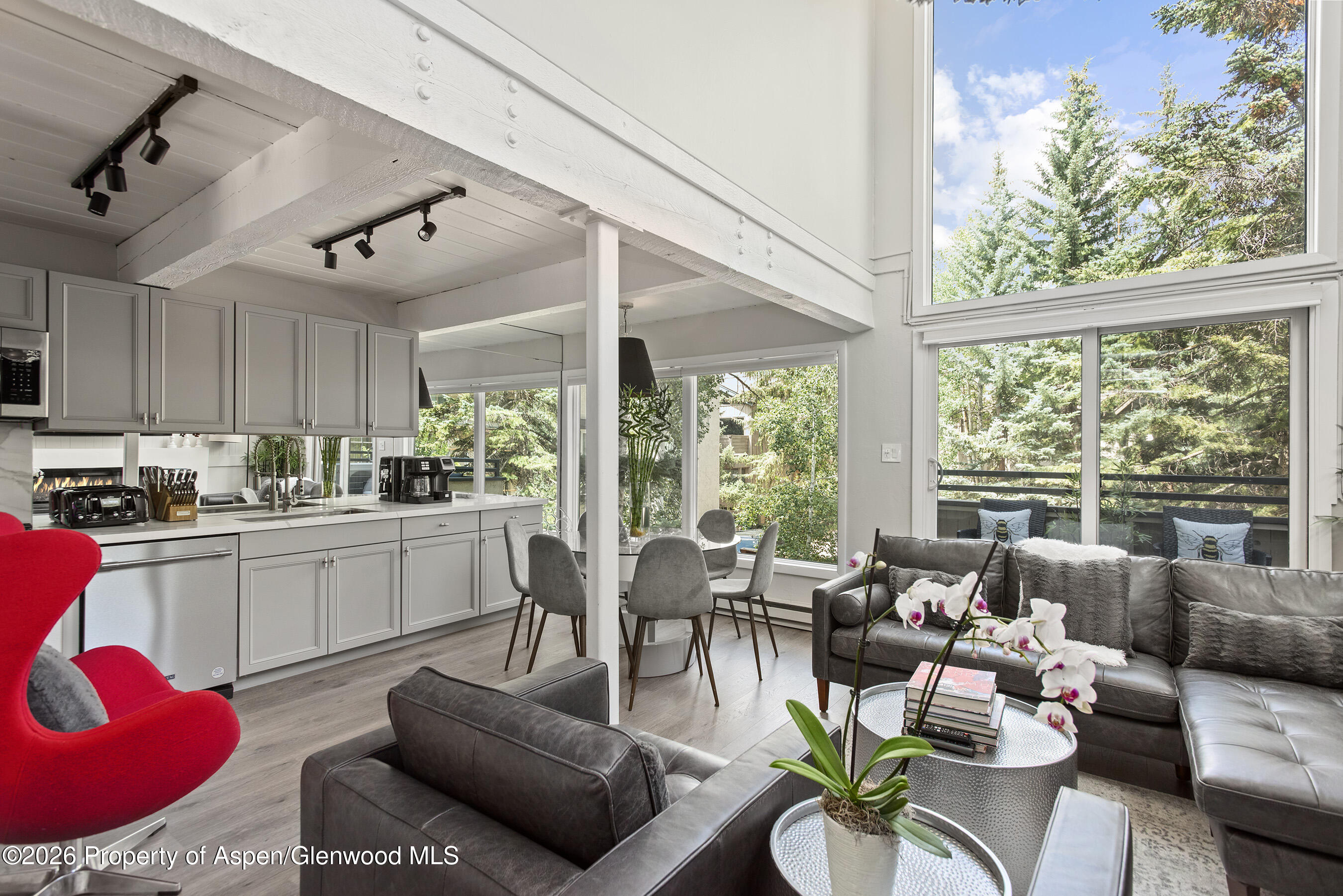 1024 E Cooper Avenue Aspen CO 81611