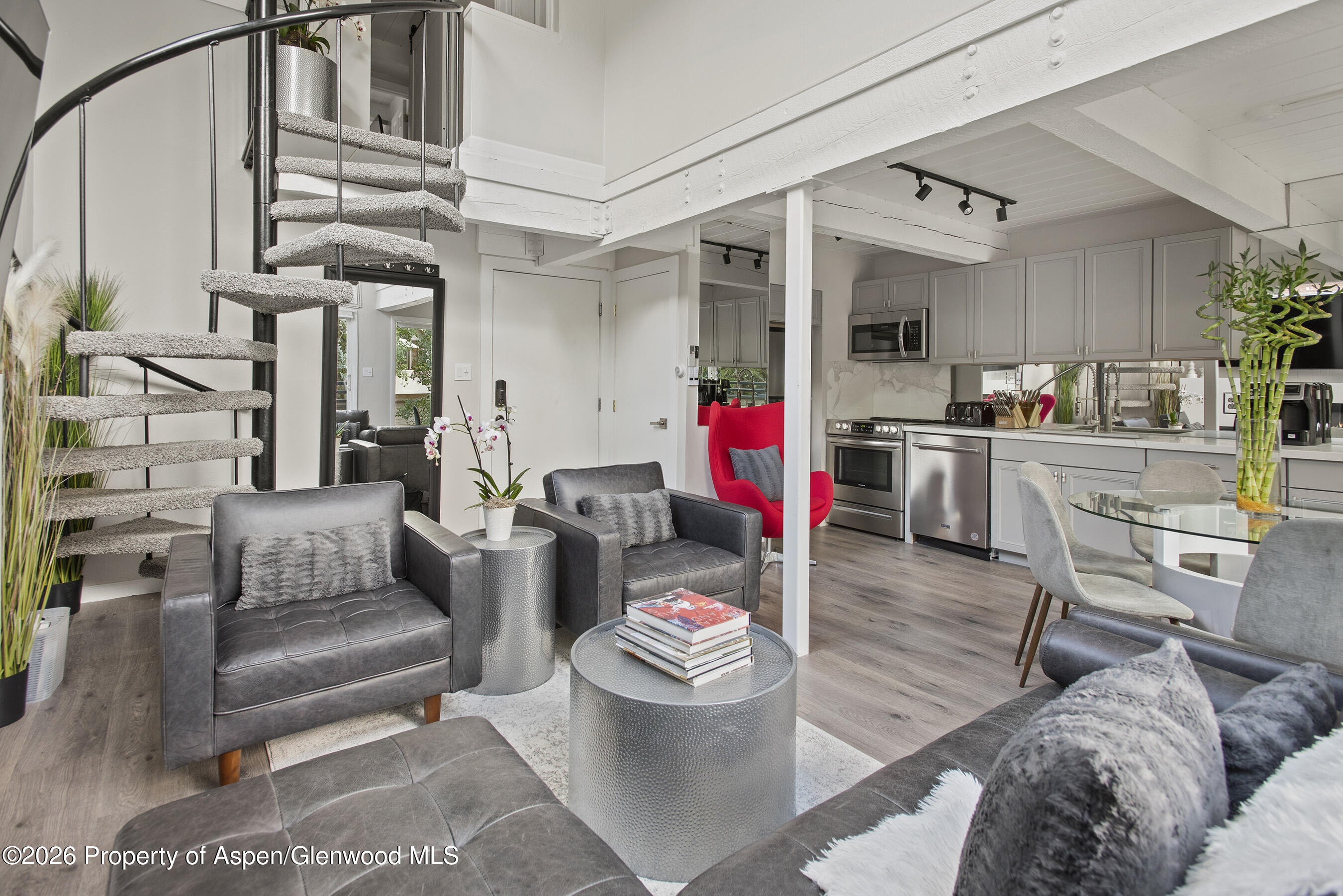 1024 E Cooper Avenue Aspen CO 81611