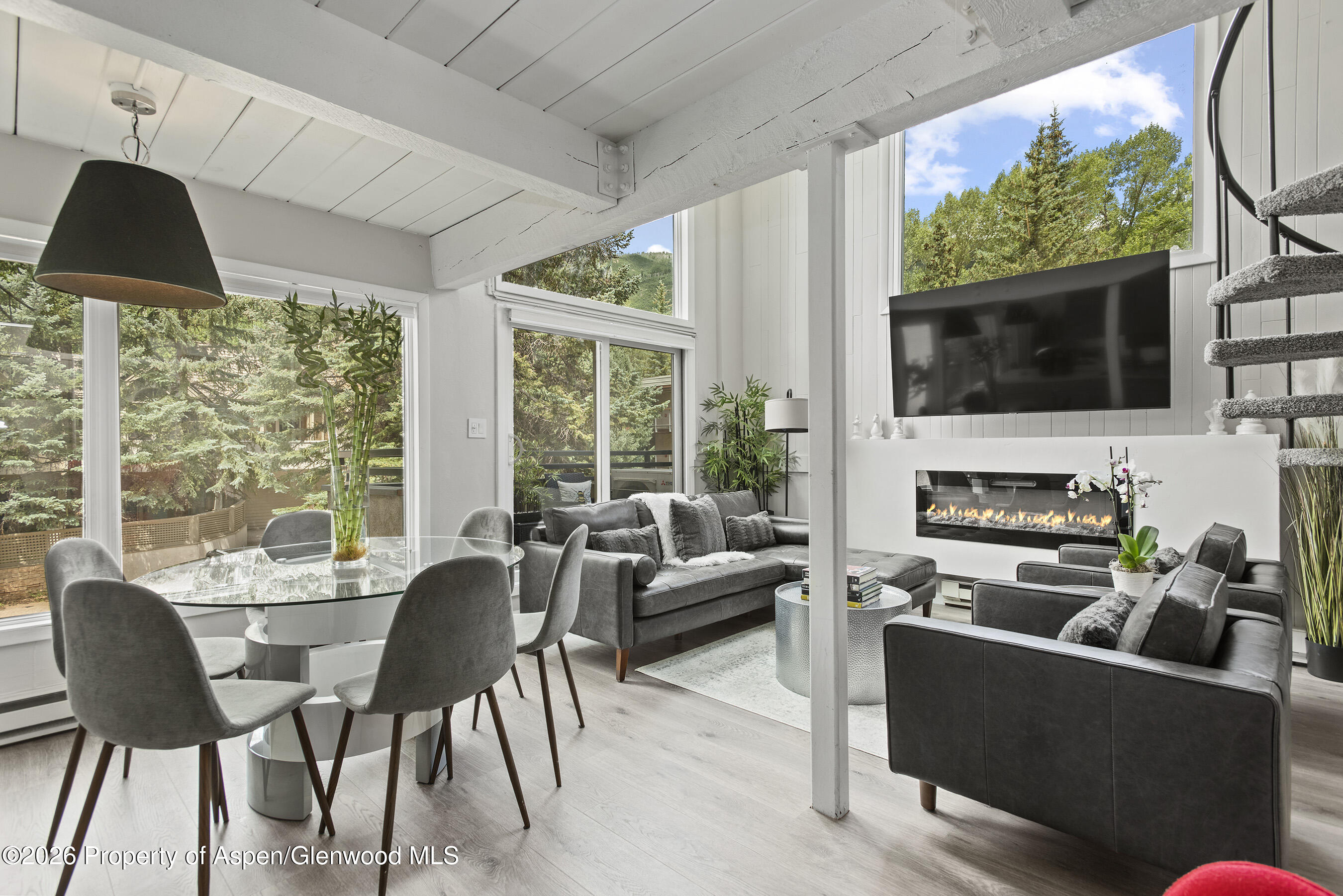 1024 E Cooper Avenue Aspen CO 81611