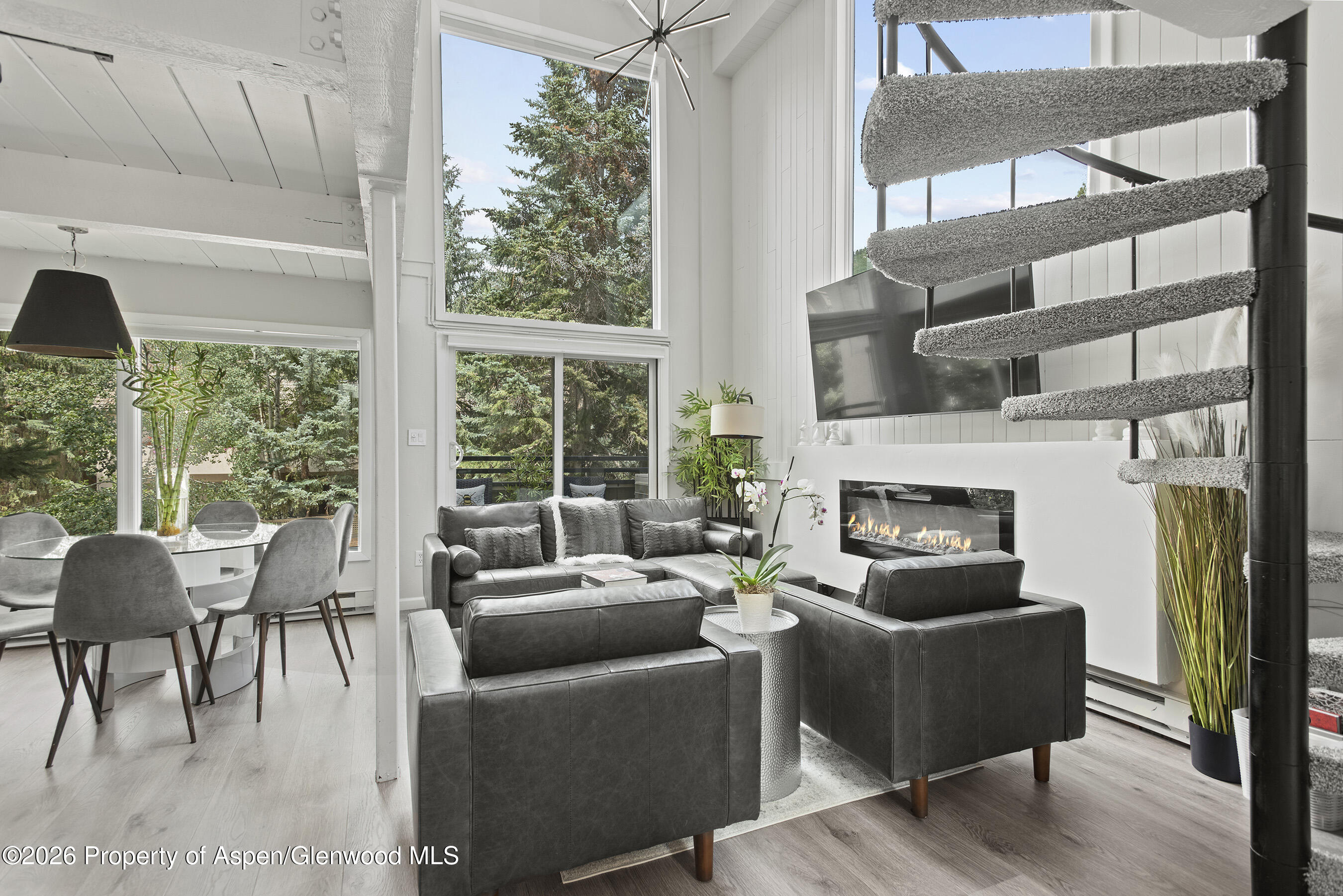 1024 E Cooper Avenue Aspen CO 81611