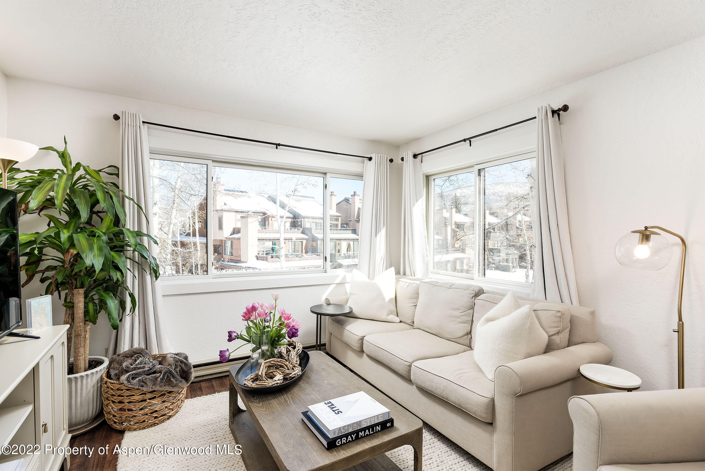 294 Snowmass Club Circle Snowmass Village CO 81615