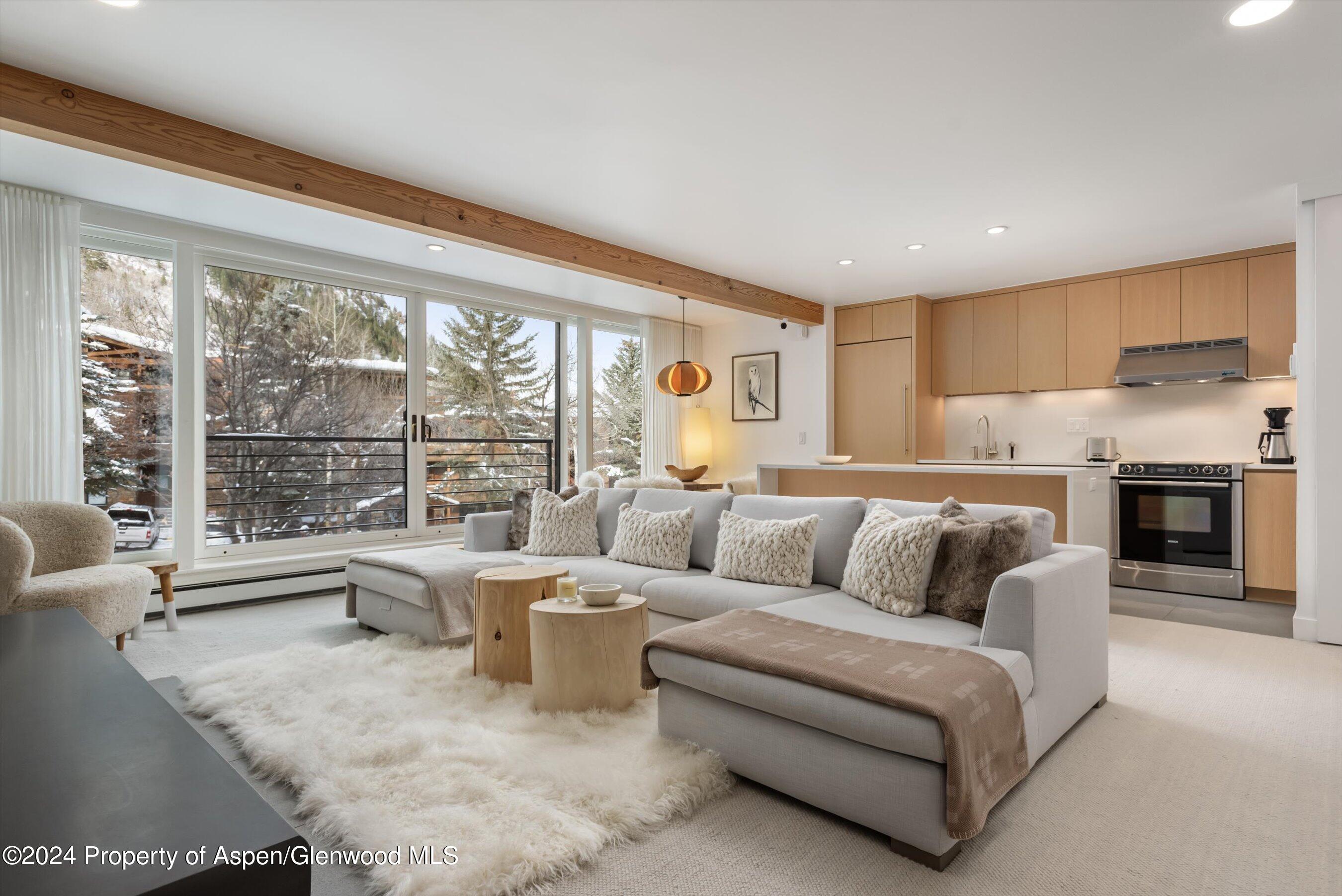 728 S Galena Street Aspen CO 81611