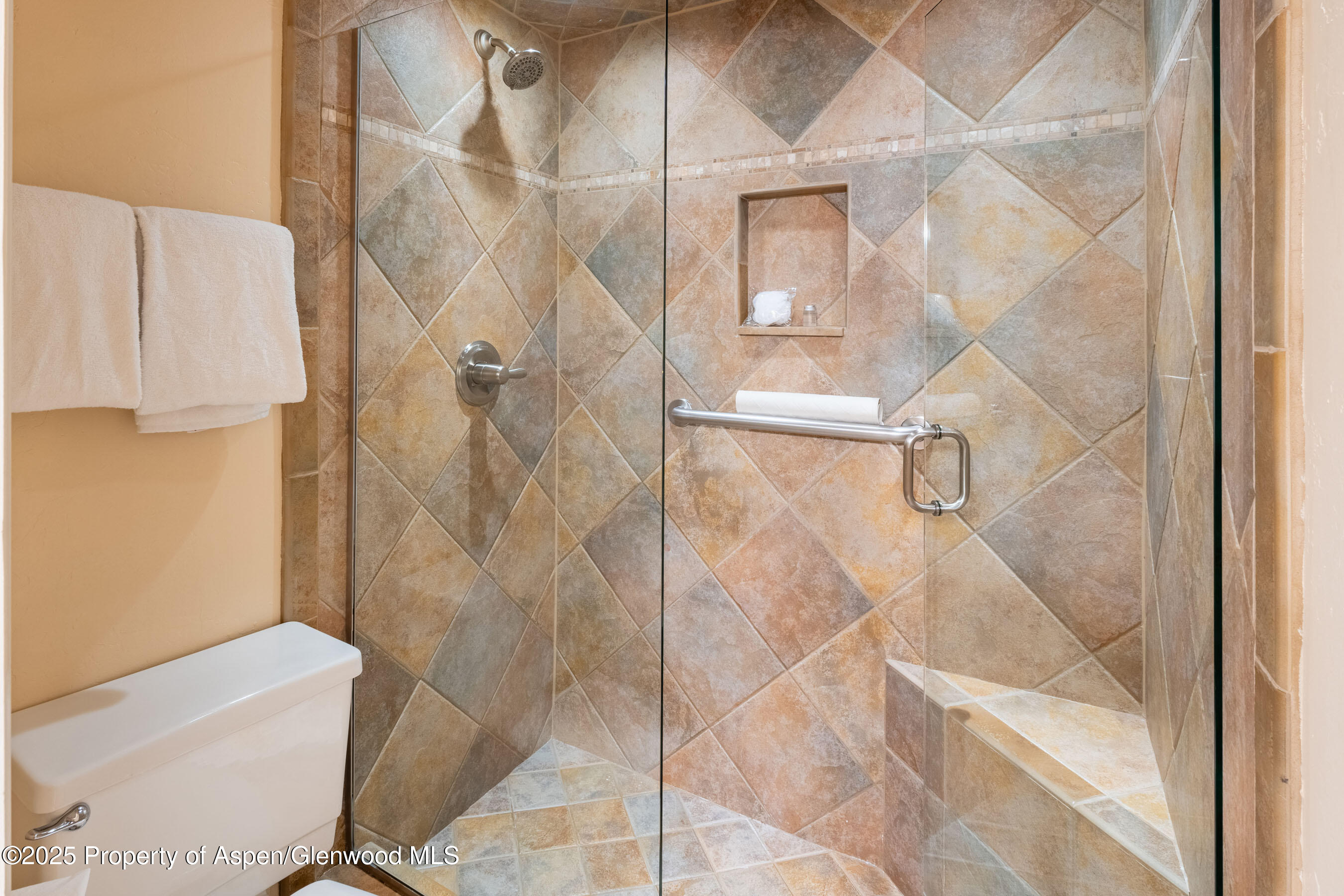 617 E Cooper Avenue Aspen CO 81611