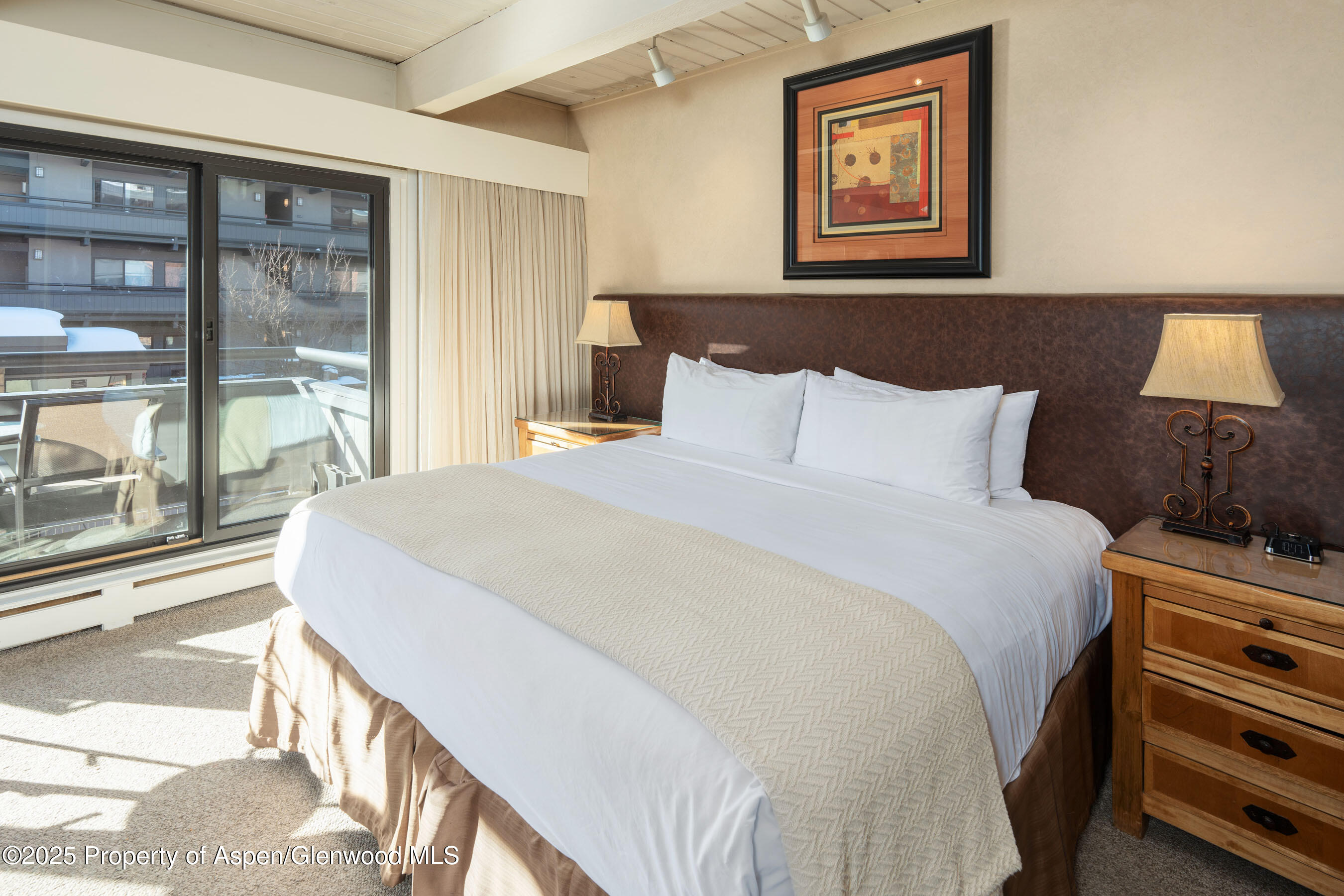 617 E Cooper Avenue Aspen CO 81611