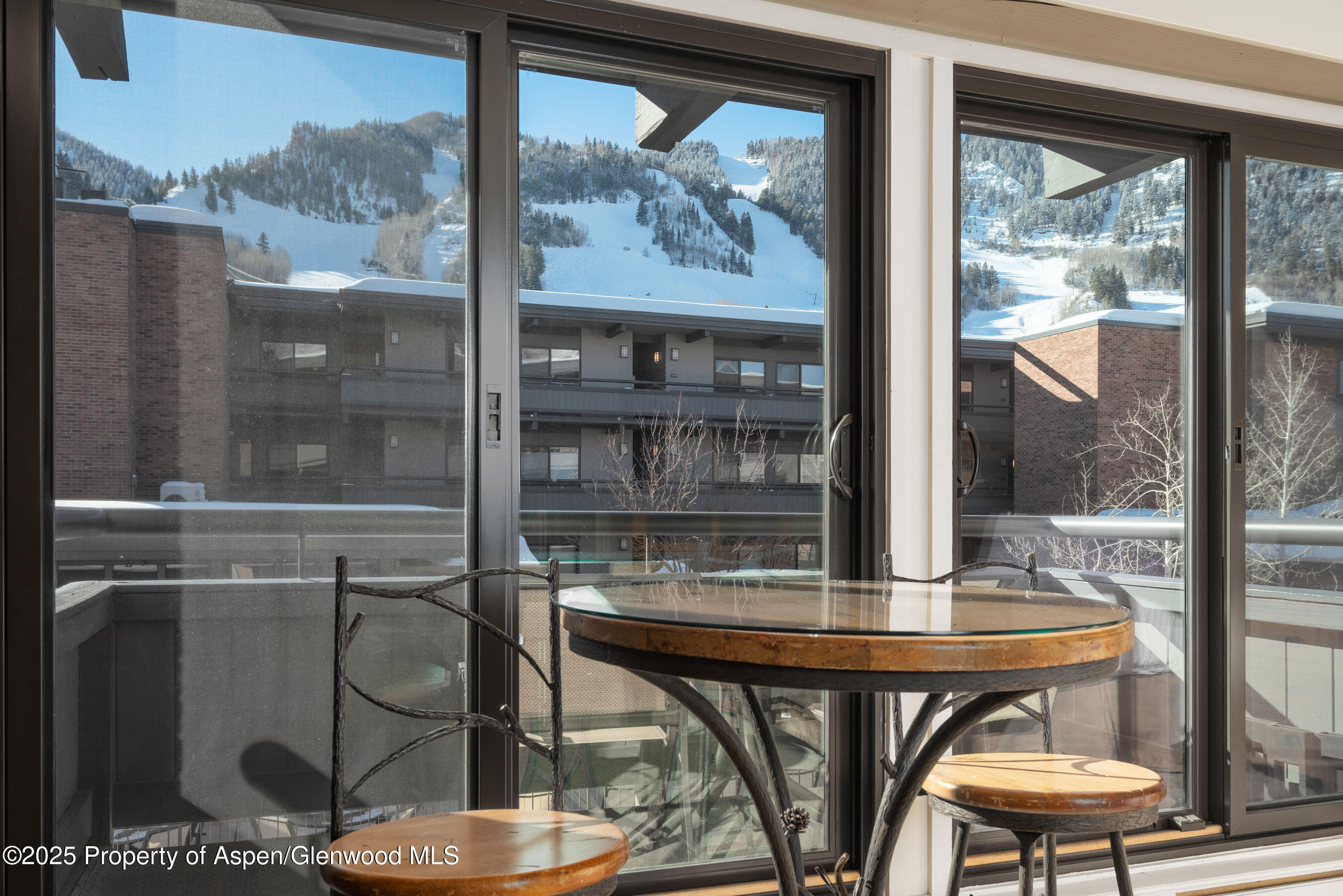 617 E Cooper Avenue Aspen CO 81611