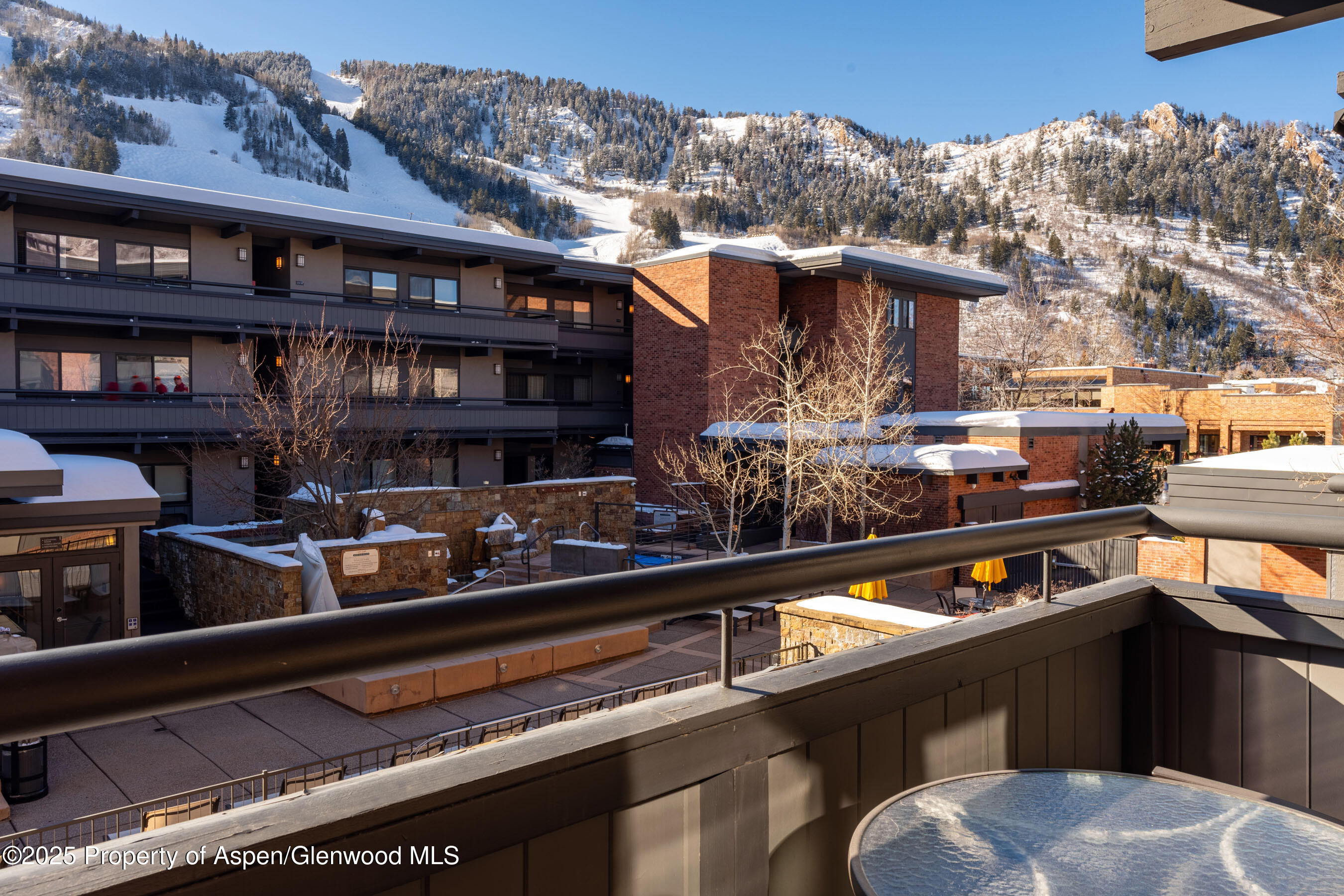 617 E Cooper Avenue Aspen CO 81611